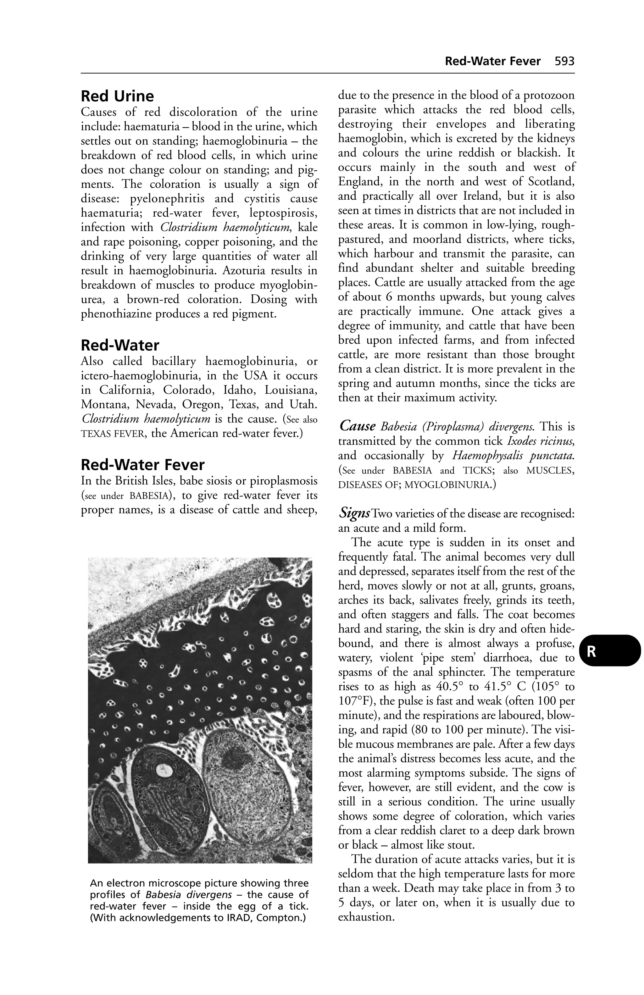 Veterinary dictionary _21st_edition