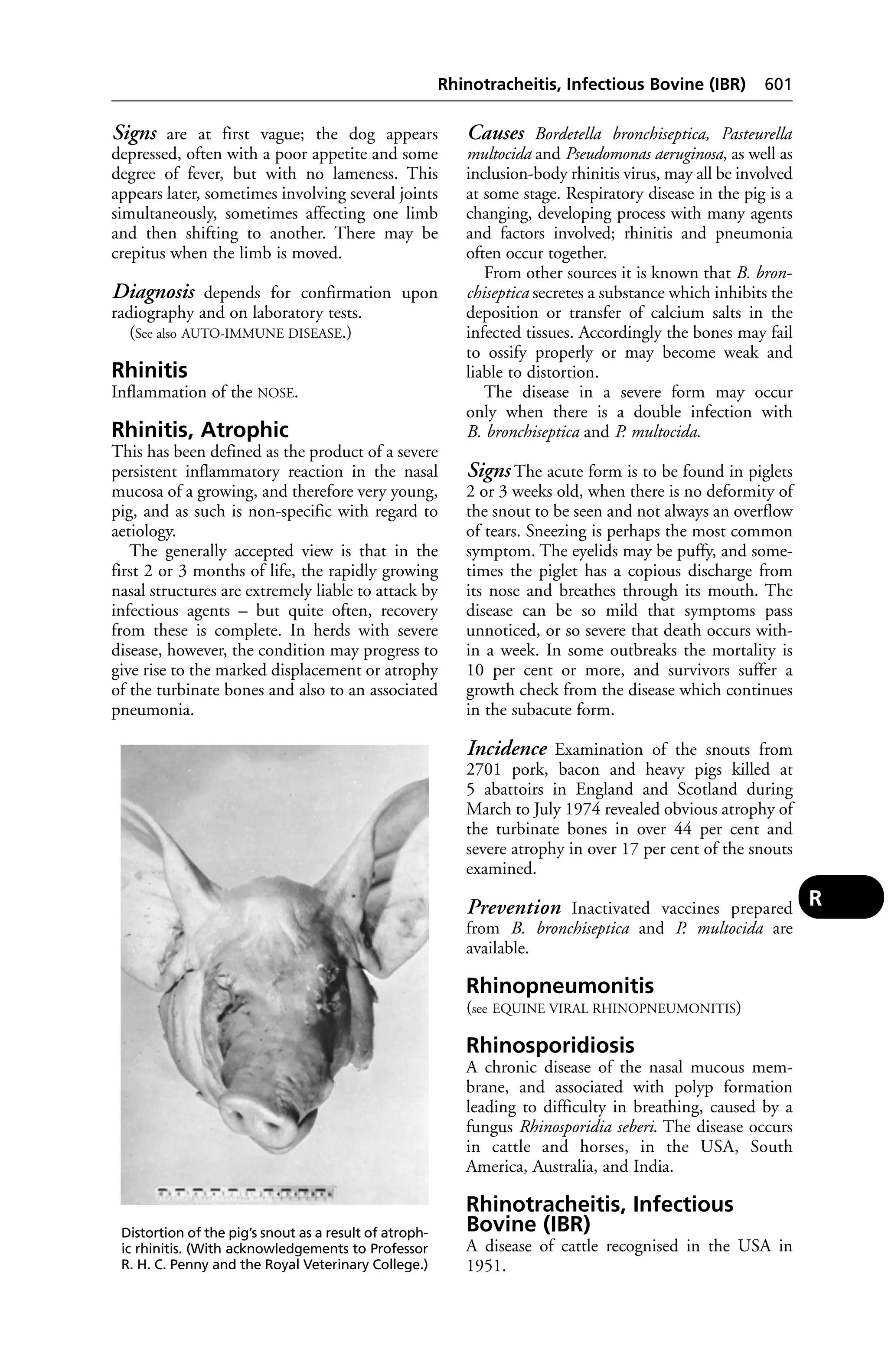 Veterinary dictionary _21st_edition