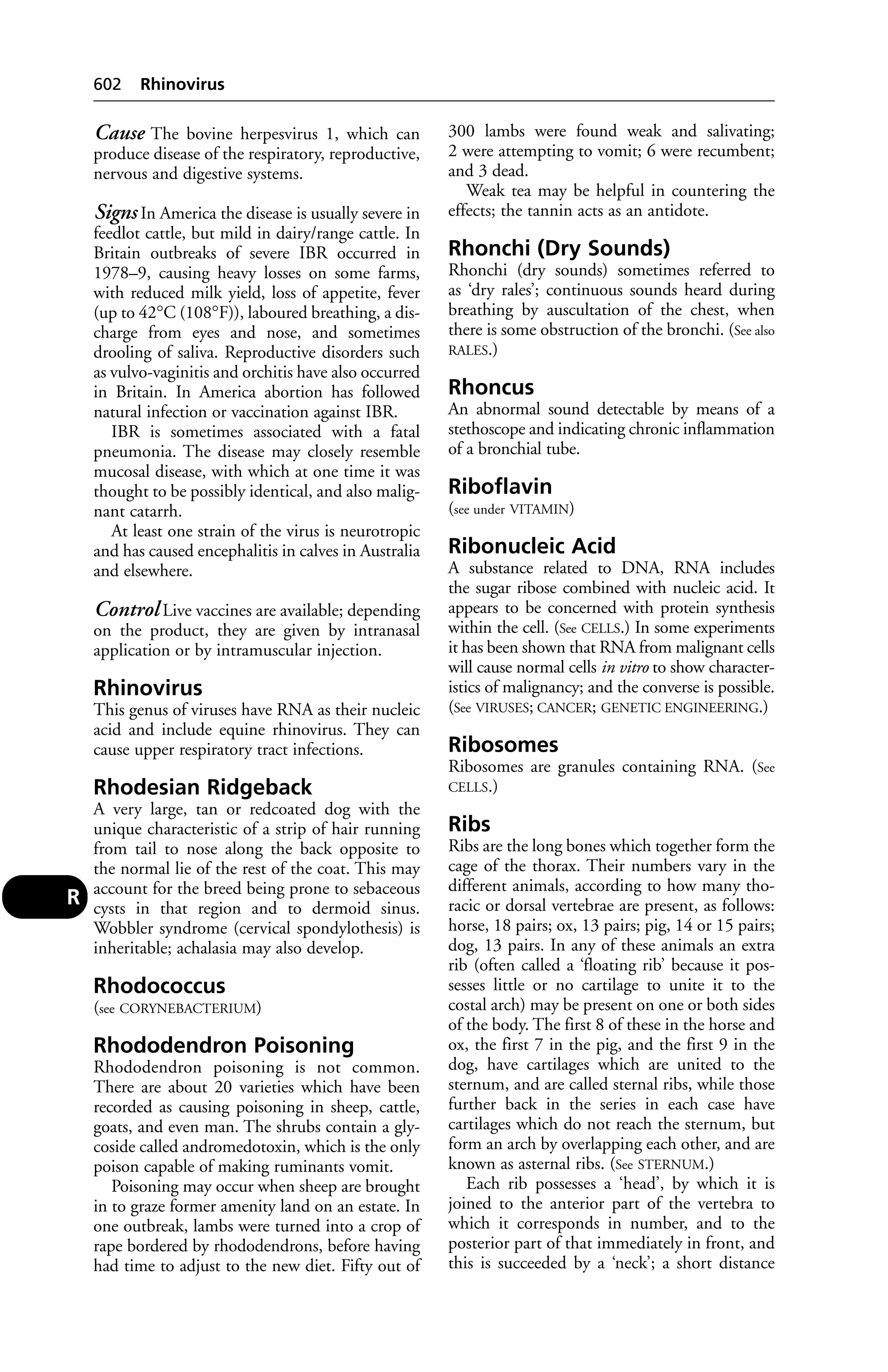 Veterinary dictionary _21st_edition