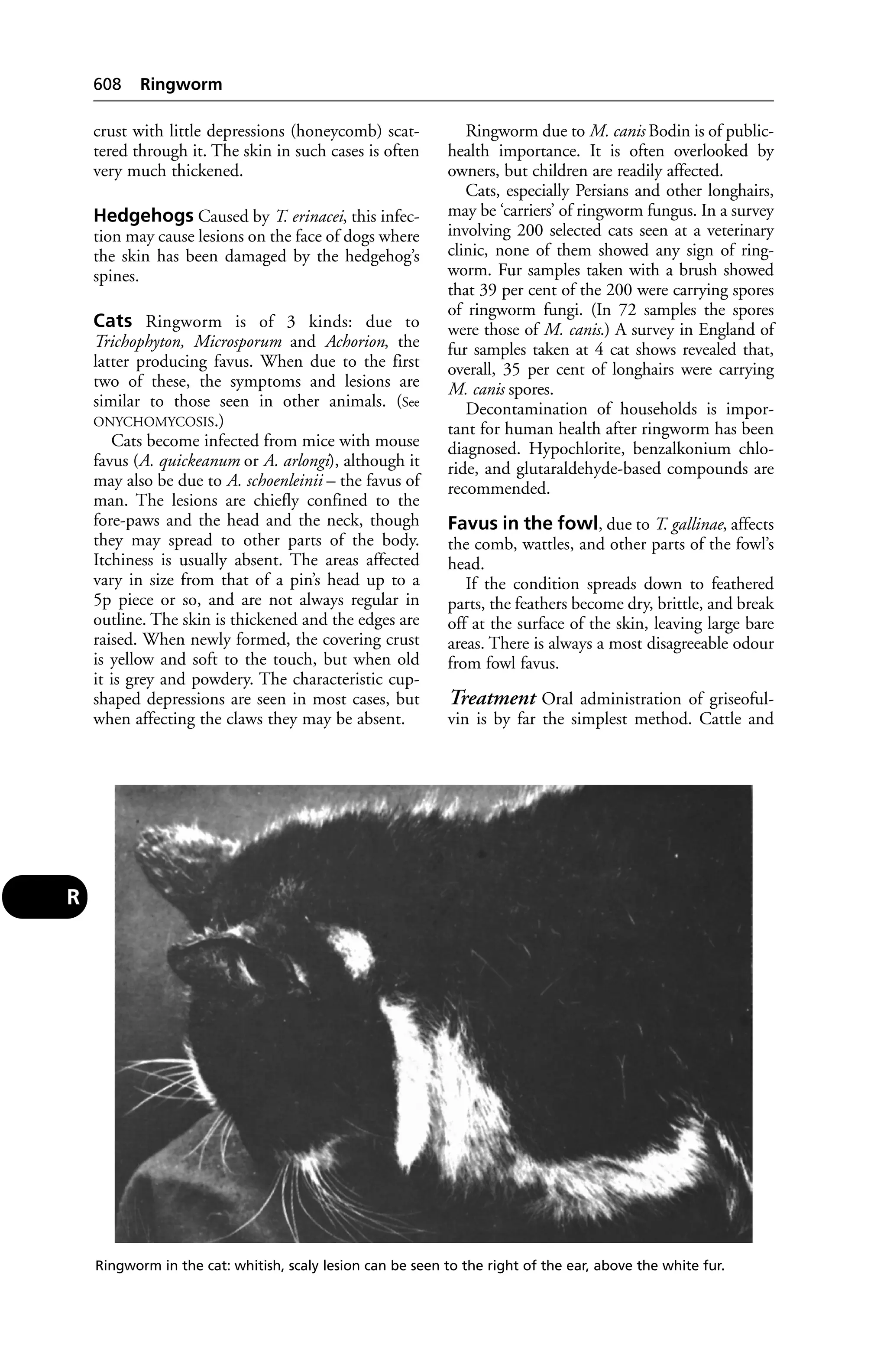 Veterinary dictionary _21st_edition