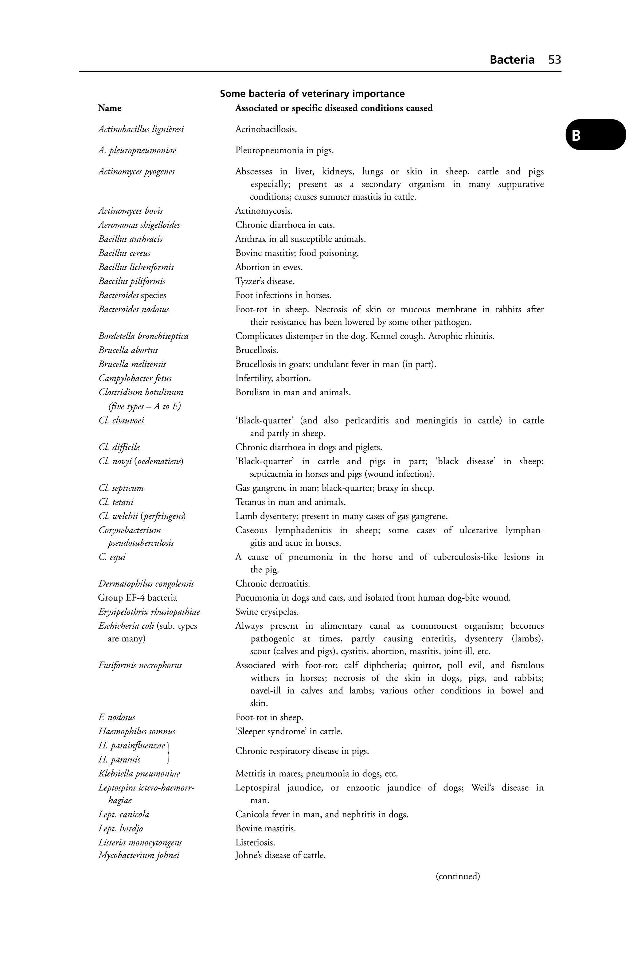 Bacteria 53 
B 
Some bacteria of veterinary importance 
Name Associated or specific diseased conditions caused 
Actinobacillus lignièresi Actinobacillosis. 
A. pleuropneumoniae Pleuropneumonia in pigs. 
Actinomyces pyogenes Abscesses in liver, kidneys, lungs or skin in sheep, cattle and pigs 
especially; present as a secondary organism in many suppurative 
conditions; causes summer mastitis in cattle. 
Actinomyces bovis Actinomycosis. 
Aeromonas shigelloides Chronic diarrhoea in cats. 
Bacillus anthracis Anthrax in all susceptible animals. 
Bacillus cereus Bovine mastitis; food poisoning. 
Bacillus lichenformis Abortion in ewes. 
Baccilus piliformis Tyzzer’s disease. 
Bacteroides species Foot infections in horses. 
Bacteroides nodosus Foot-rot in sheep. Necrosis of skin or mucous membrane in rabbits after 
their resistance has been lowered by some other pathogen. 
Bordetella bronchiseptica Complicates distemper in the dog. Kennel cough. Atrophic rhinitis. 
Brucella abortus Brucellosis. 
Brucella melitensis Brucellosis in goats; undulant fever in man (in part). 
Campylobacter fetus Infertility, abortion. 
Clostridium botulinum Botulism in man and animals. 
(five types – A to E) 
Cl. chauvoei ‘Black-quarter’ (and also pericarditis and meningitis in cattle) in cattle 
and partly in sheep. 
Cl. difficile Chronic diarrhoea in dogs and piglets. 
Cl. novyi (oedematiens) ‘Black-quarter’ in cattle and pigs in part; ‘black disease’ in sheep; 
septicaemia in horses and pigs (wound infection). 
Cl. septicum Gas gangrene in man; black-quarter; braxy in sheep. 
Cl. tetani Tetanus in man and animals. 
Cl. welchii (perfringens) Lamb dysentery; present in many cases of gas gangrene. 
Corynebacterium Caseous lymphadenitis in sheep; some cases of ulcerative lymphan-pseudotuberculosis 
gitis and acne in horses. 
C. equi A cause of pneumonia in the horse and of tuberculosis-like lesions in 
the pig. 
Dermatophilus congolensis Chronic dermatitis. 
Group EF-4 bacteria Pneumonia in dogs and cats, and isolated from human dog-bite wound. 
Erysipelothrix rhusiopathiae Swine erysipelas. 
Eschicheria coli (sub. types Always present in alimentary canal as commonest organism; becomes 
are many) pathogenic at times, partly causing enteritis, dysentery (lambs), 
scour (calves and pigs), cystitis, abortion, mastitis, joint-ill, etc. 
Fusiformis necrophorus Associated with foot-rot; calf diphtheria; quittor, poll evil, and fistulous 
withers in horses; necrosis of the skin in dogs, pigs, and rabbits; 
navel-ill in calves and lambs; various other conditions in bowel and 
skin. 
F. nodosus Foot-rot in sheep. 
Haemophilus somnus ‘Sleeper syndrome’ in cattle. 
H. parainfluenzae } Chronic respiratory disease in pigs. 
H. parasuis 
Klebsiella pneumoniae Metritis in mares; pneumonia in dogs, etc. 
Leptospira ictero-haemorr- Leptospiral jaundice, or enzootic jaundice of dogs; Weil’s disease in 
hagiae man. 
Lept. canicola Canicola fever in man, and nephritis in dogs. 
Lept. hardjo Bovine mastitis. 
Listeria monocytongens Listeriosis. 
Mycobacterium johnei Johne’s disease of cattle. 
(continued) 
 