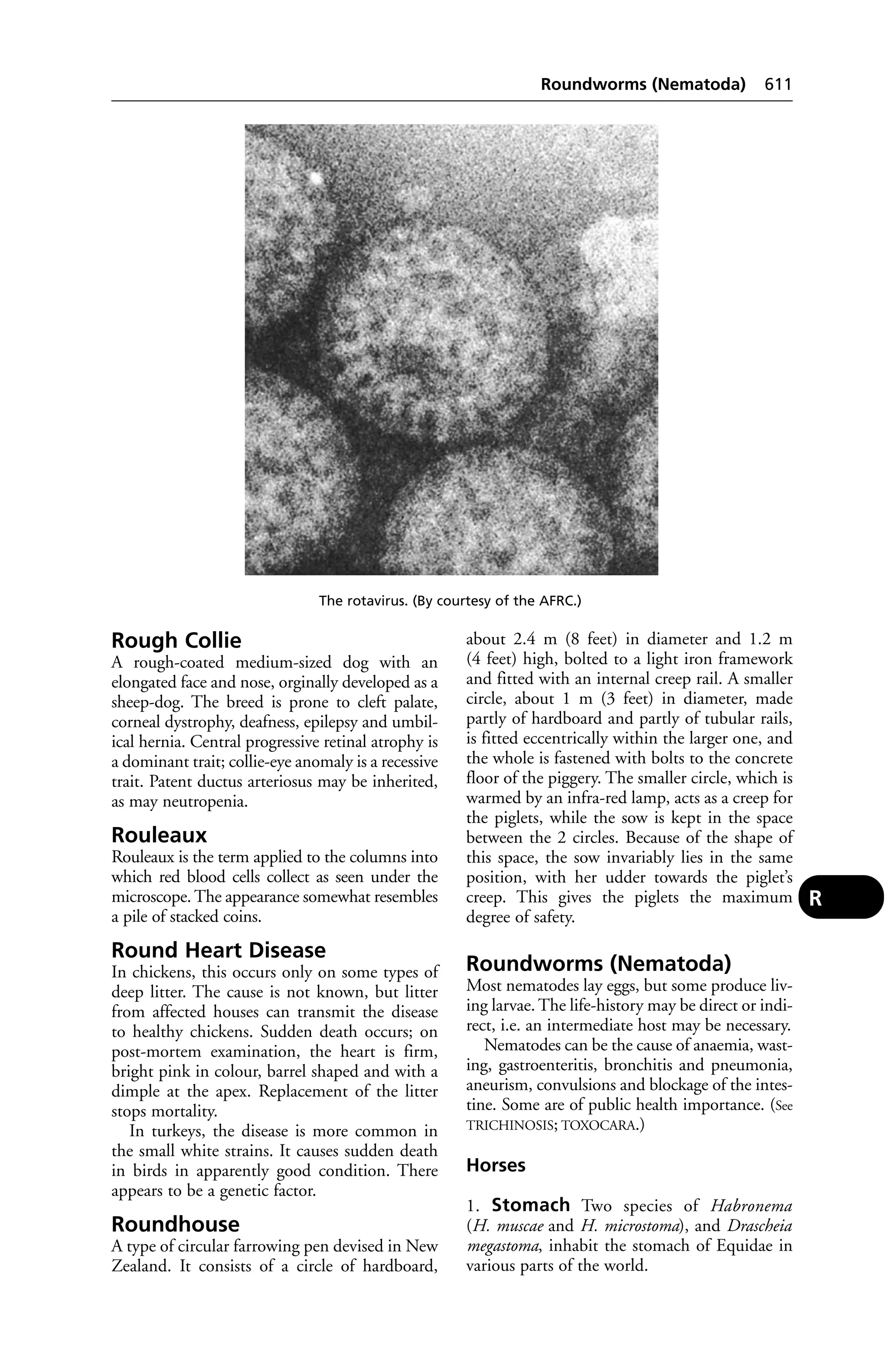 Veterinary dictionary _21st_edition