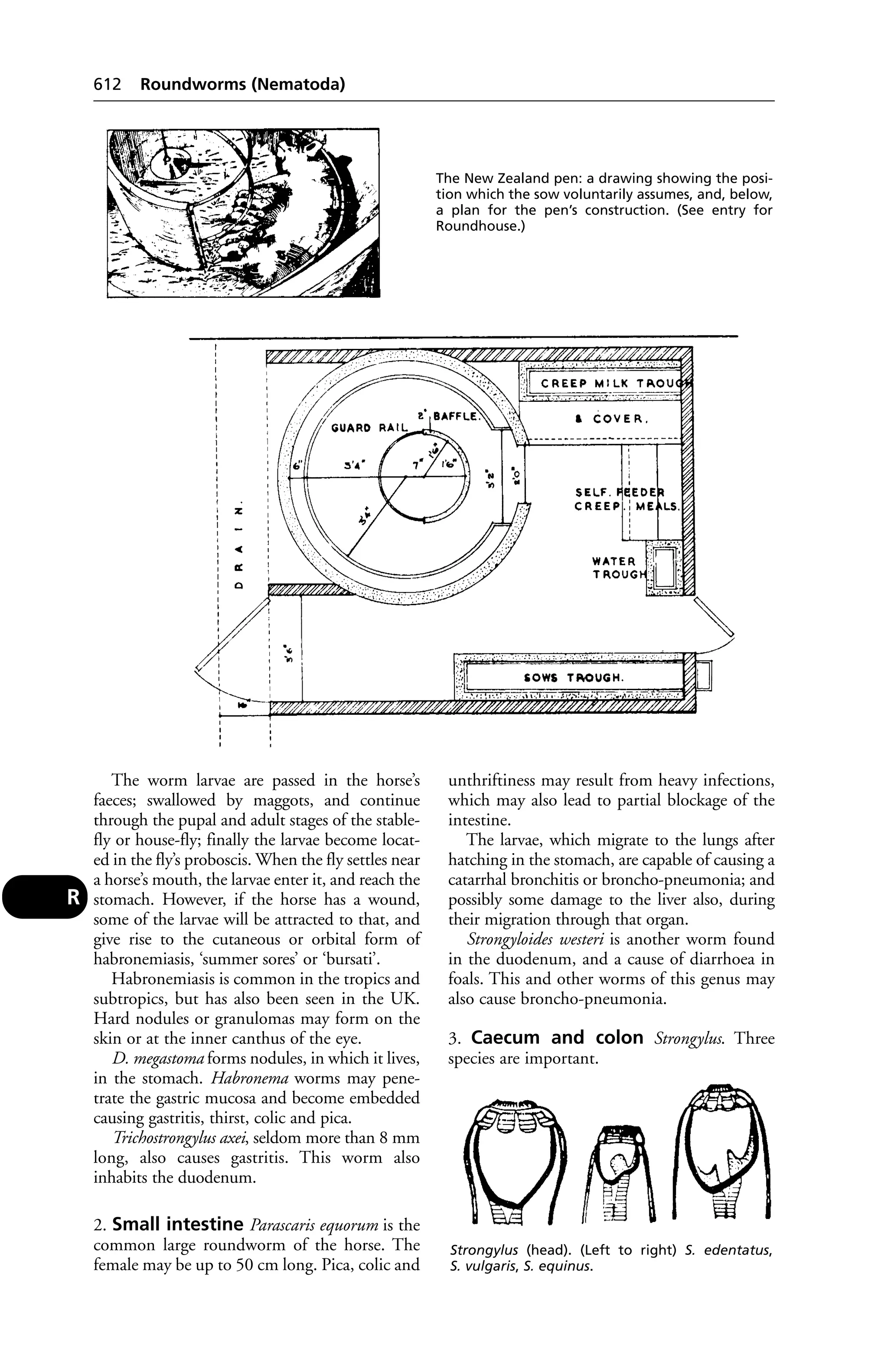 Veterinary dictionary _21st_edition