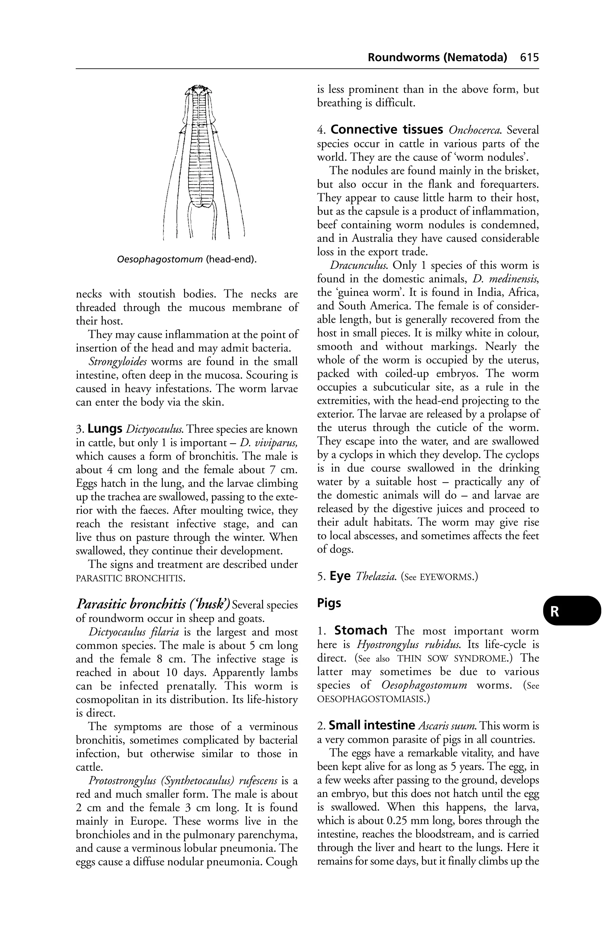 Veterinary dictionary _21st_edition