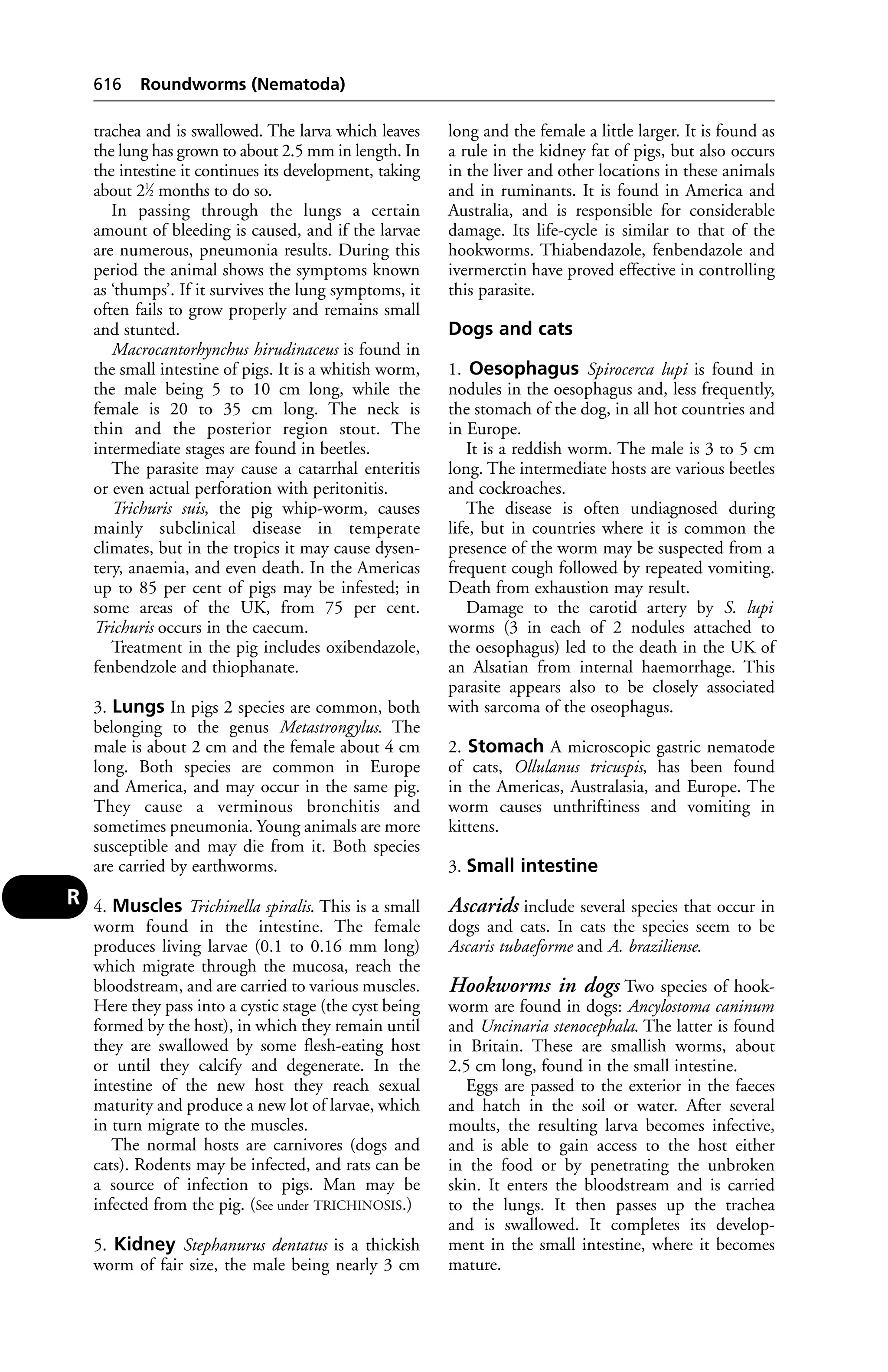 Veterinary dictionary _21st_edition