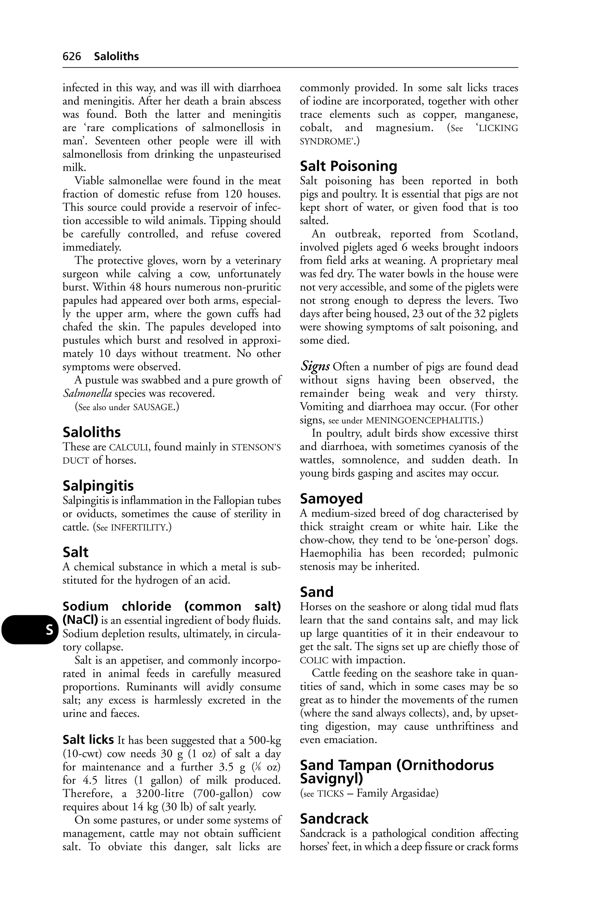 Veterinary dictionary _21st_edition