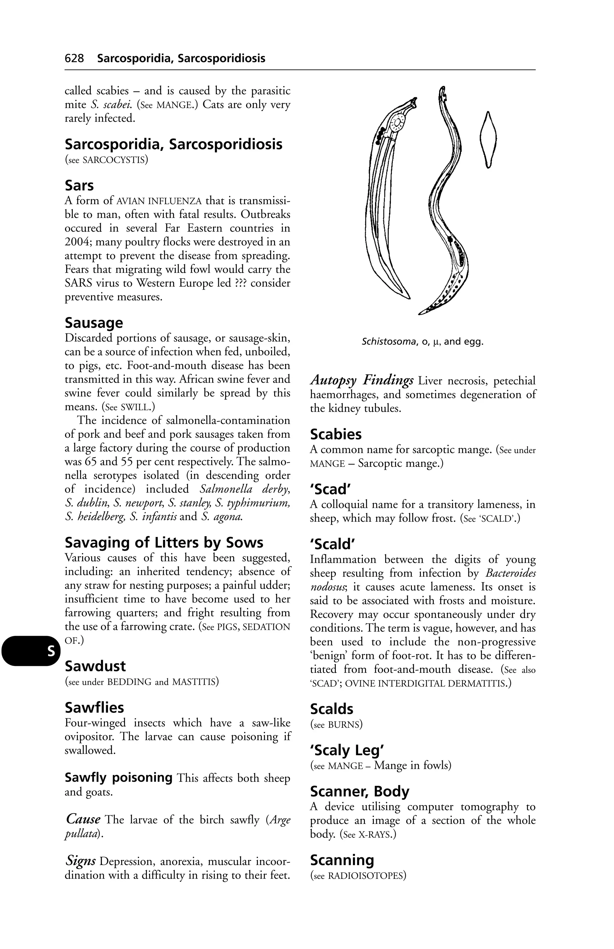 Veterinary dictionary _21st_edition