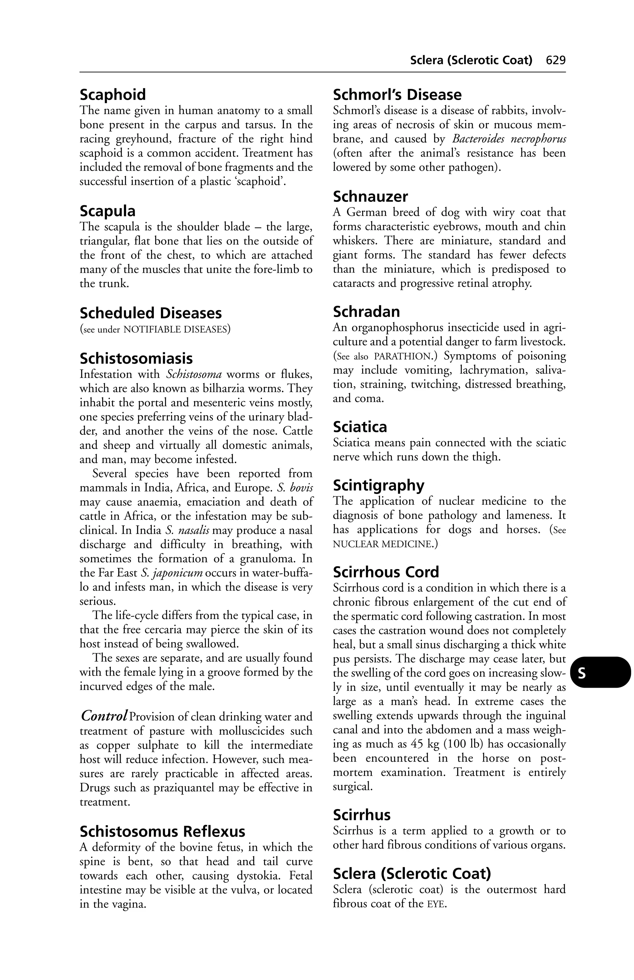 Veterinary dictionary _21st_edition