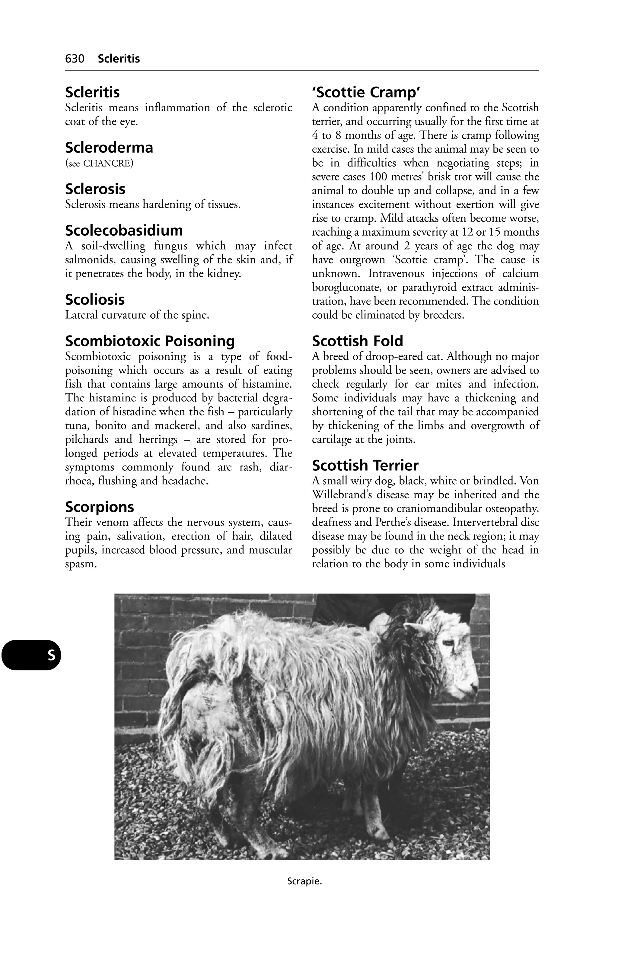 Veterinary dictionary _21st_edition