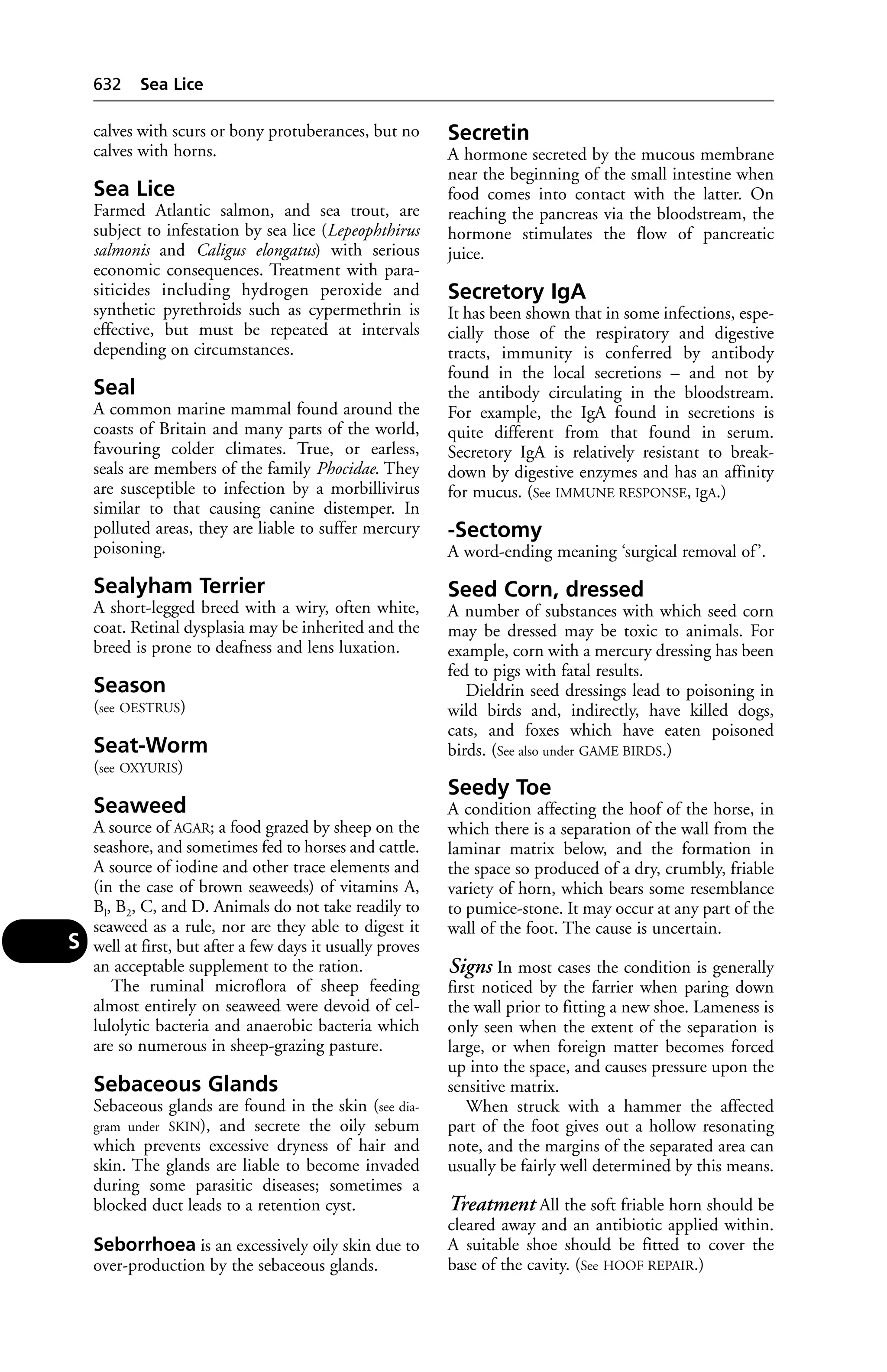 Veterinary dictionary _21st_edition