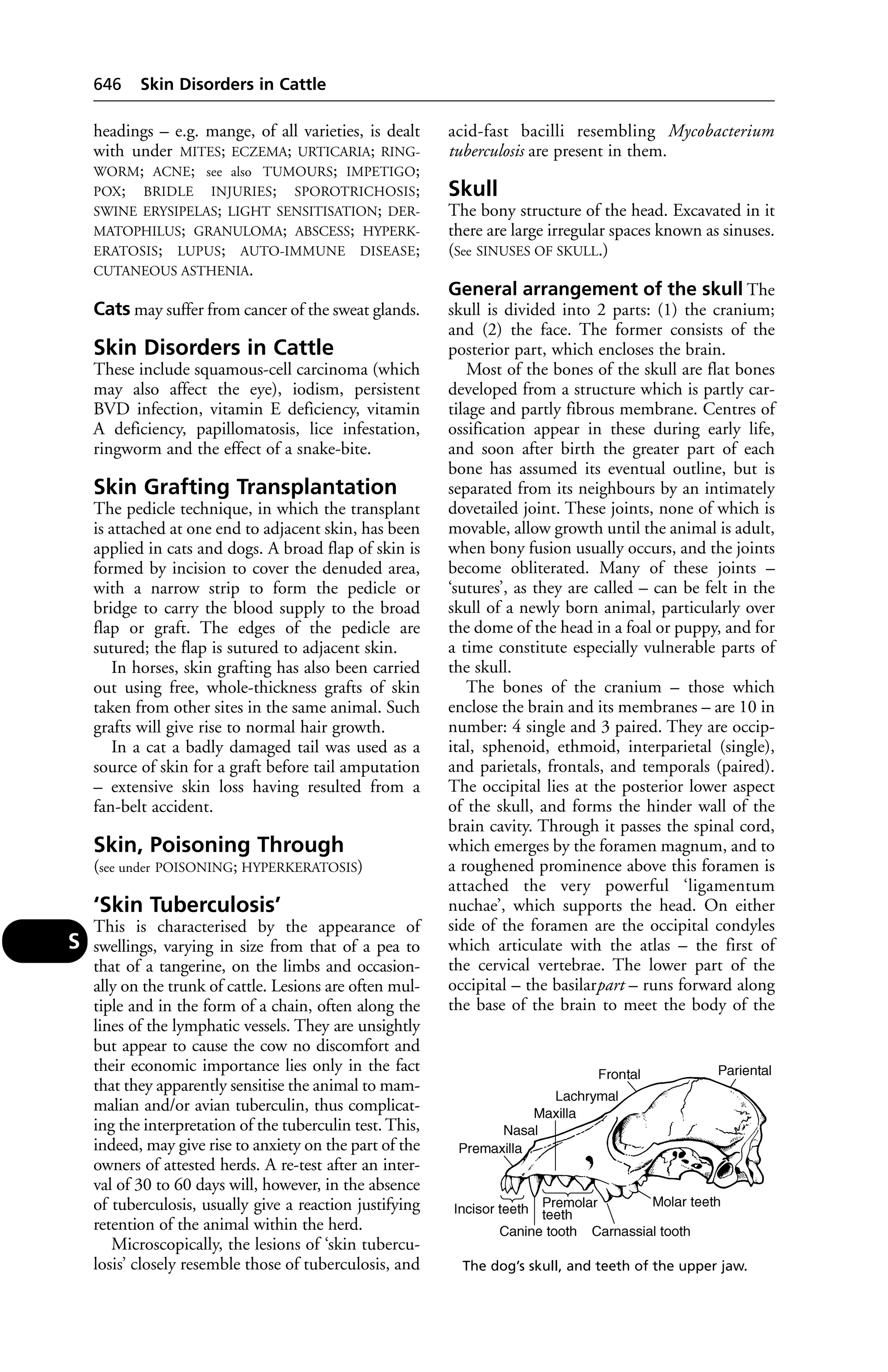 Veterinary dictionary _21st_edition