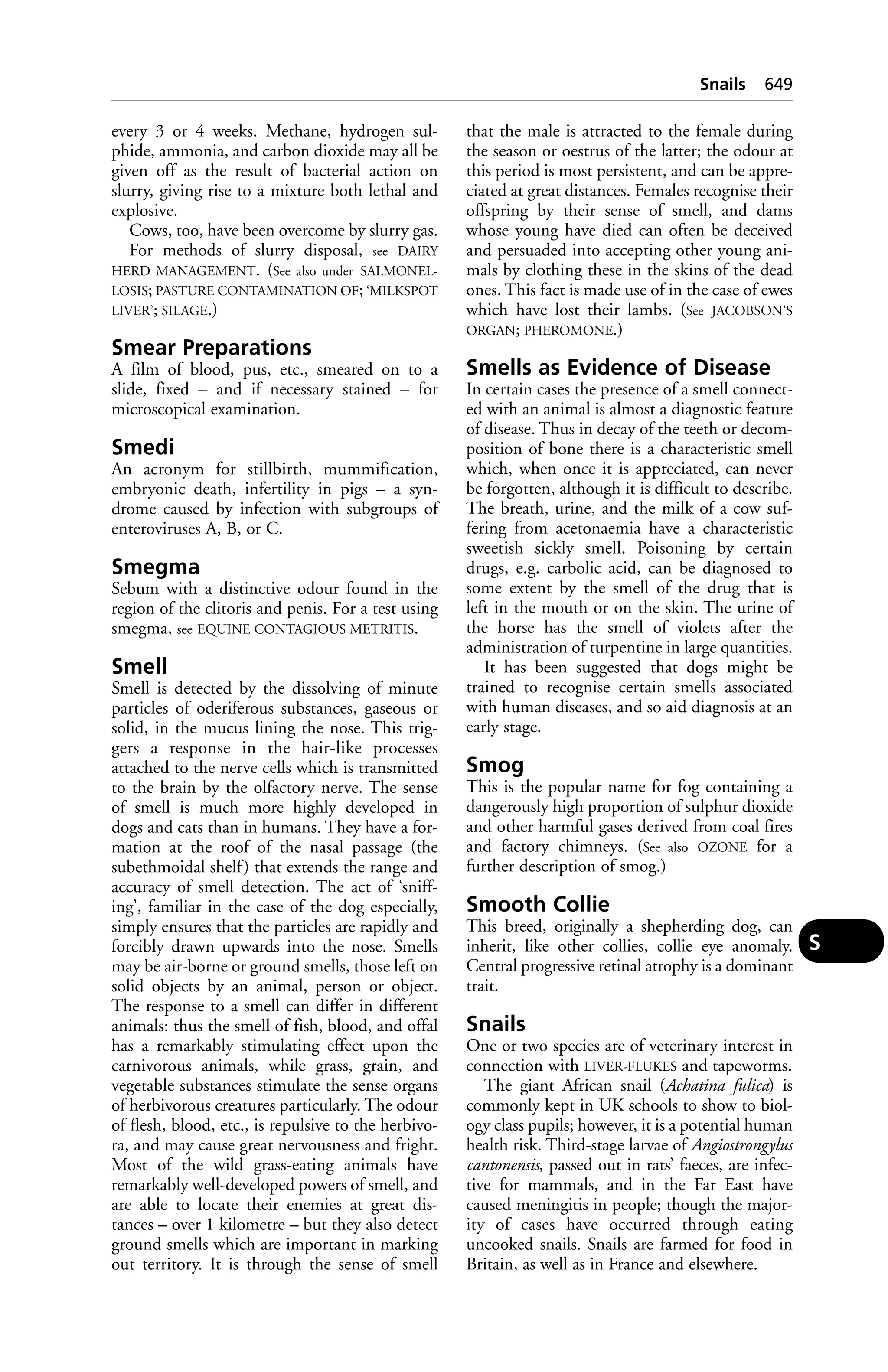 Veterinary dictionary _21st_edition