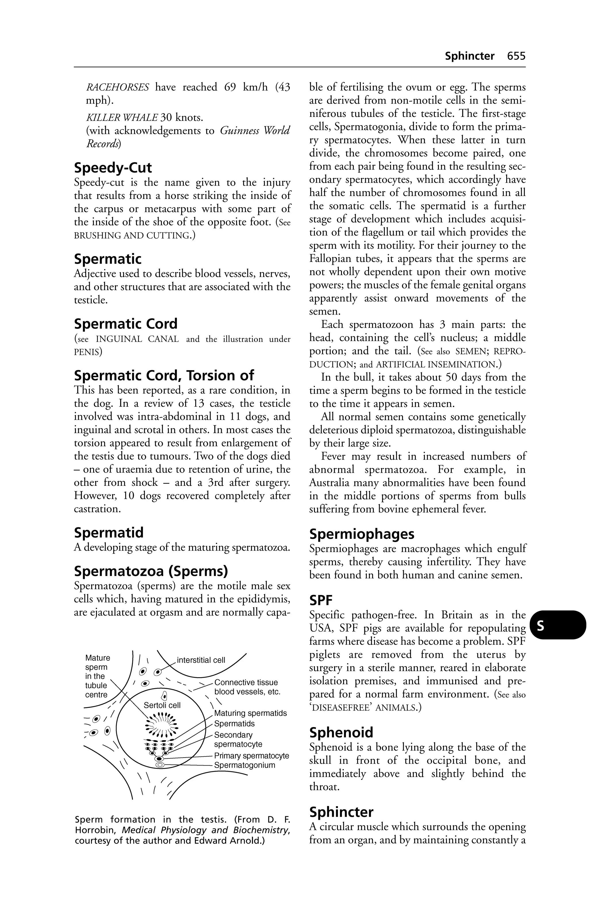 Veterinary dictionary _21st_edition