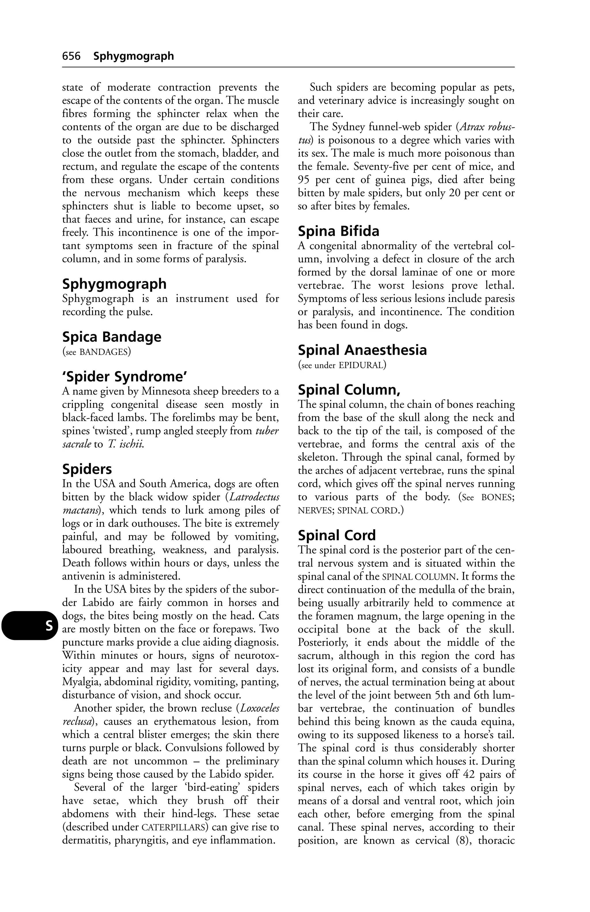 Veterinary dictionary _21st_edition