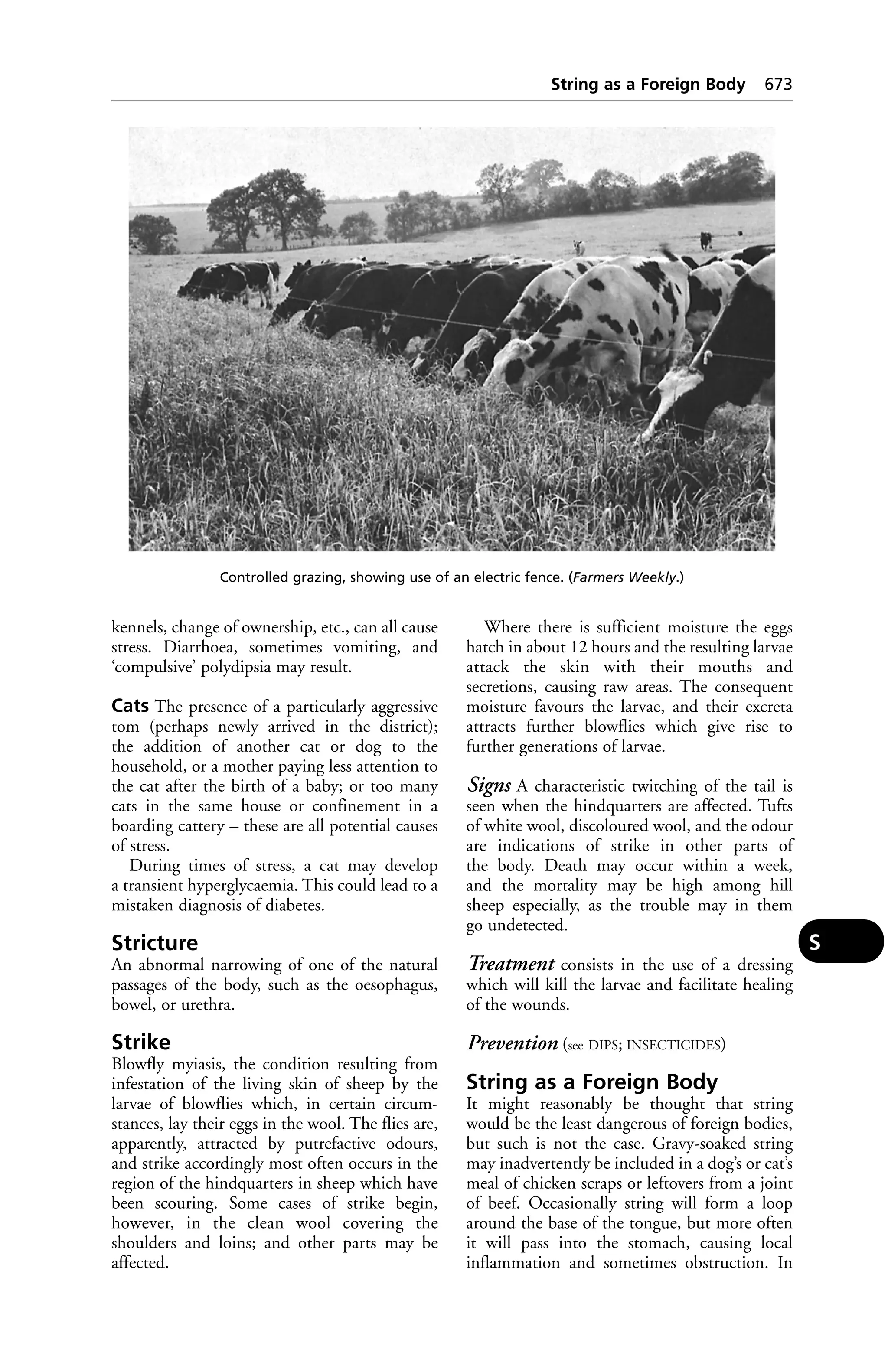 Veterinary dictionary _21st_edition