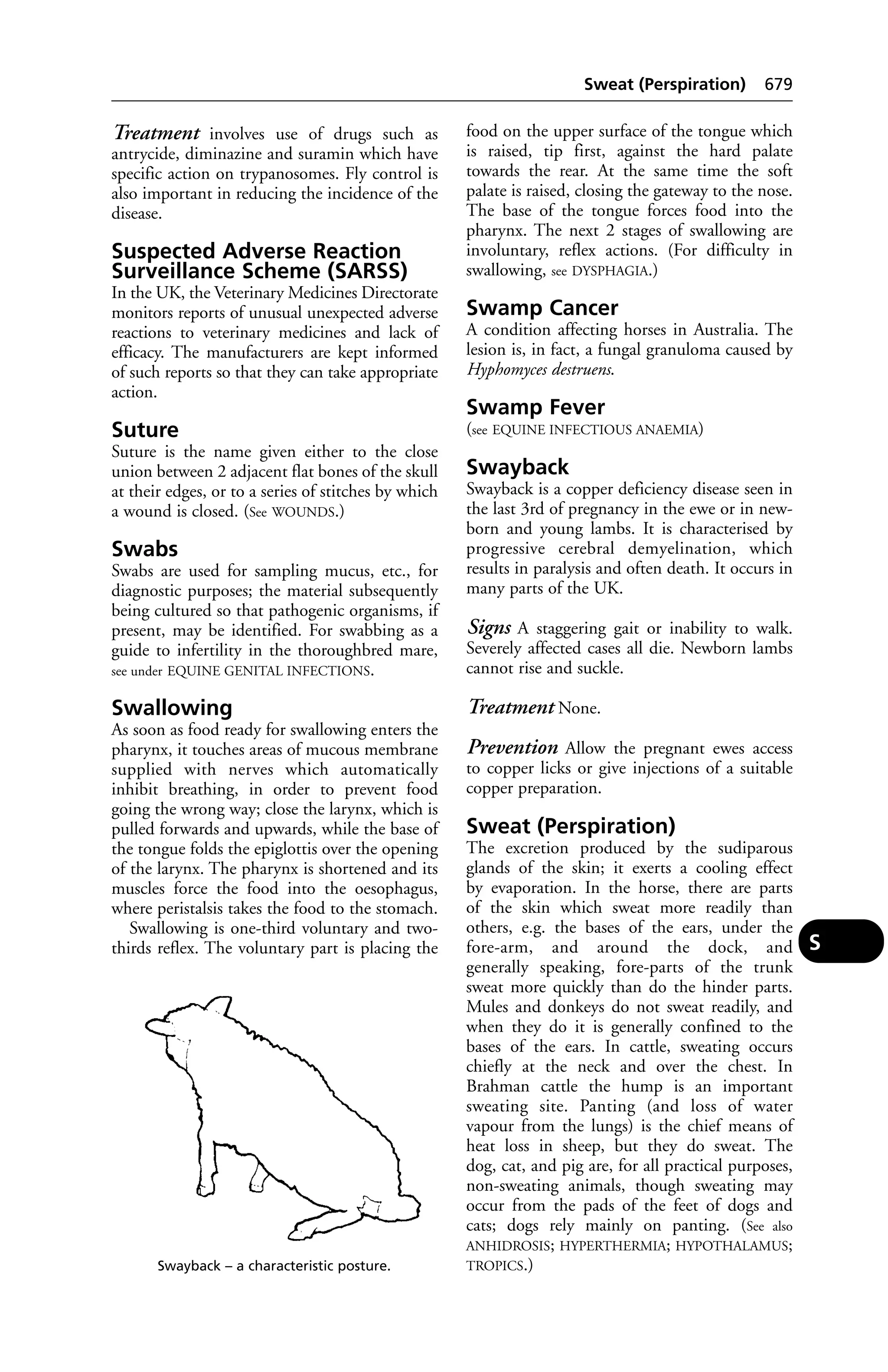 Veterinary dictionary _21st_edition