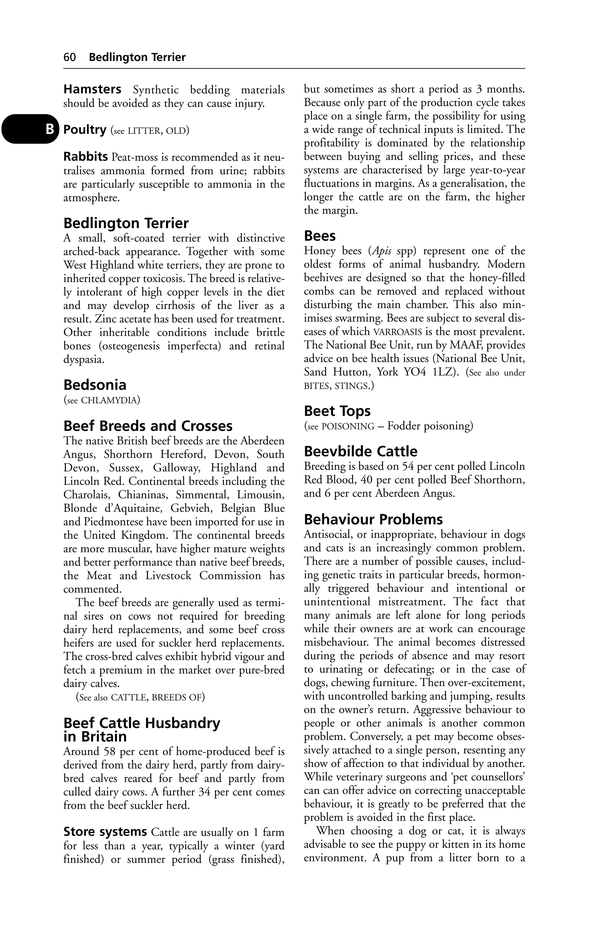 Hamsters Synthetic bedding materials 
should be avoided as they can cause injury. 
Poultry (see LITTER, OLD) 
Rabbits Peat-moss is recommended as it neu-tralises 
ammonia formed from urine; rabbits 
are particularly susceptible to ammonia in the 
atmosphere. 
Bedlington Terrier 
A small, soft-coated terrier with distinctive 
arched-back appearance. Together with some 
West Highland white terriers, they are prone to 
inherited copper toxicosis. The breed is relative-ly 
intolerant of high copper levels in the diet 
and may develop cirrhosis of the liver as a 
result. Zinc acetate has been used for treatment. 
Other inheritable conditions include brittle 
bones (osteogenesis imperfecta) and retinal 
dyspasia. 
Bedsonia 
(see CHLAMYDIA) 
Beef Breeds and Crosses 
The native British beef breeds are the Aberdeen 
Angus, Shorthorn Hereford, Devon, South 
Devon, Sussex, Galloway, Highland and 
Lincoln Red. Continental breeds including the 
Charolais, Chianinas, Simmental, Limousin, 
Blonde d’Aquitaine, Gebvieh, Belgian Blue 
and Piedmontese have been imported for use in 
the United Kingdom. The continental breeds 
are more muscular, have higher mature weights 
and better performance than native beef breeds, 
the Meat and Livestock Commission has 
commented. 
The beef breeds are generally used as termi-nal 
sires on cows not required for breeding 
dairy herd replacements, and some beef cross 
heifers are used for suckler herd replacements. 
The cross-bred calves exhibit hybrid vigour and 
fetch a premium in the market over pure-bred 
dairy calves. 
(See also CATTLE, BREEDS OF) 
Beef Cattle Husbandry 
in Britain 
Around 58 per cent of home-produced beef is 
derived from the dairy herd, partly from dairy-bred 
calves reared for beef and partly from 
culled dairy cows. A further 34 per cent comes 
from the beef suckler herd. 
Store systems Cattle are usually on 1 farm 
for less than a year, typically a winter (yard 
finished) or summer period (grass finished), 
but sometimes as short a period as 3 months. 
Because only part of the production cycle takes 
place on a single farm, the possibility for using 
a wide range of technical inputs is limited. The 
profitability is dominated by the relationship 
between buying and selling prices, and these 
systems are characterised by large year-to-year 
fluctuations in margins. As a generalisation, the 
longer the cattle are on the farm, the higher 
the margin. 
Bees 
Honey bees (Apis spp) represent one of the 
oldest forms of animal husbandry. Modern 
beehives are designed so that the honey-filled 
combs can be removed and replaced without 
disturbing the main chamber. This also min-imises 
swarming. Bees are subject to several dis-eases 
of which VARROASIS is the most prevalent. 
The National Bee Unit, run by MAAF, provides 
advice on bee health issues (National Bee Unit, 
Sand Hutton, York YO4 1LZ). (See also under 
BITES, STINGS.) 
Beet Tops 
(see POISONING – Fodder poisoning) 
Beevbilde Cattle 
Breeding is based on 54 per cent polled Lincoln 
Red Blood, 40 per cent polled Beef Shorthorn, 
and 6 per cent Aberdeen Angus. 
Behaviour Problems 
Antisocial, or inappropriate, behaviour in dogs 
and cats is an increasingly common problem. 
There are a number of possible causes, includ-ing 
genetic traits in particular breeds, hormon-ally 
triggered behaviour and intentional or 
unintentional mistreatment. The fact that 
many animals are left alone for long periods 
while their owners are at work can encourage 
misbehaviour. The animal becomes distressed 
during the periods of absence and may resort 
to urinating or defecating; or in the case of 
dogs, chewing furniture. Then over-excitement, 
with uncontrolled barking and jumping, results 
on the owner’s return. Aggressive behaviour to 
people or other animals is another common 
problem. Conversely, a pet may become obses-sively 
attached to a single person, resenting any 
show of affection to that individual by another. 
While veterinary surgeons and ‘pet counsellors’ 
can can offer advice on correcting unacceptable 
behaviour, it is greatly to be preferred that the 
problem is avoided in the first place. 
When choosing a dog or cat, it is always 
advisable to see the puppy or kitten in its home 
environment. A pup from a litter born to a 
60 Bedlington Terrier 
B 
 