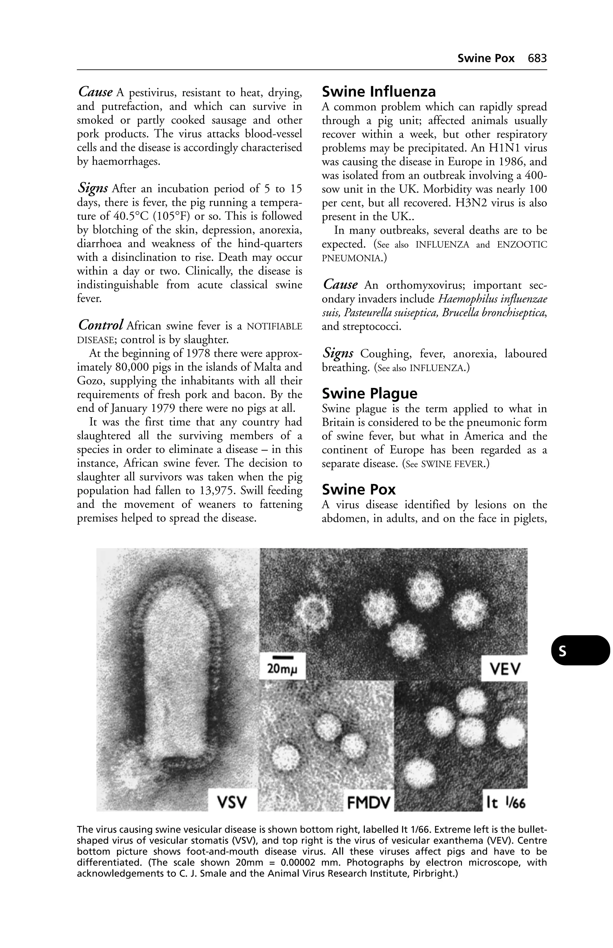 Veterinary dictionary _21st_edition