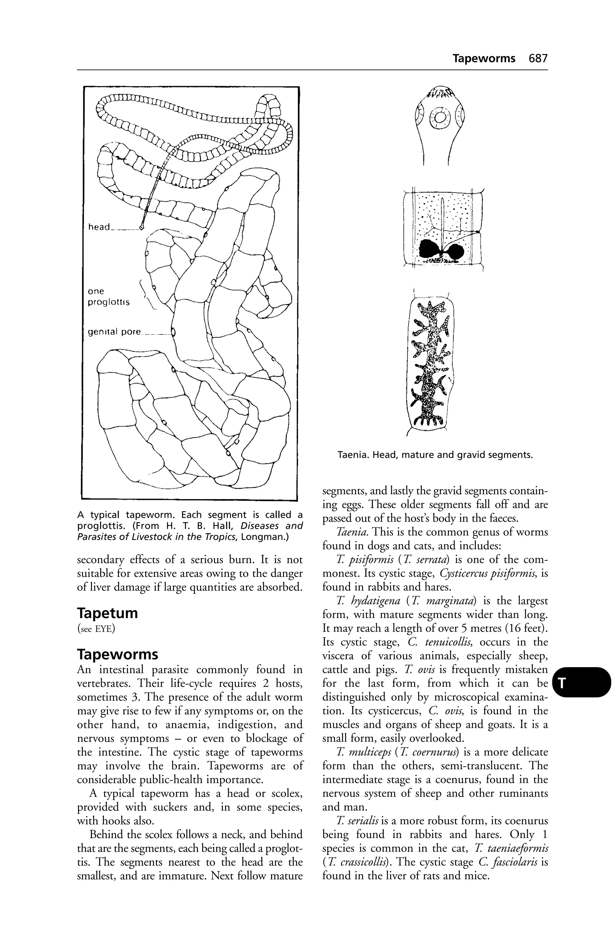 Veterinary dictionary _21st_edition