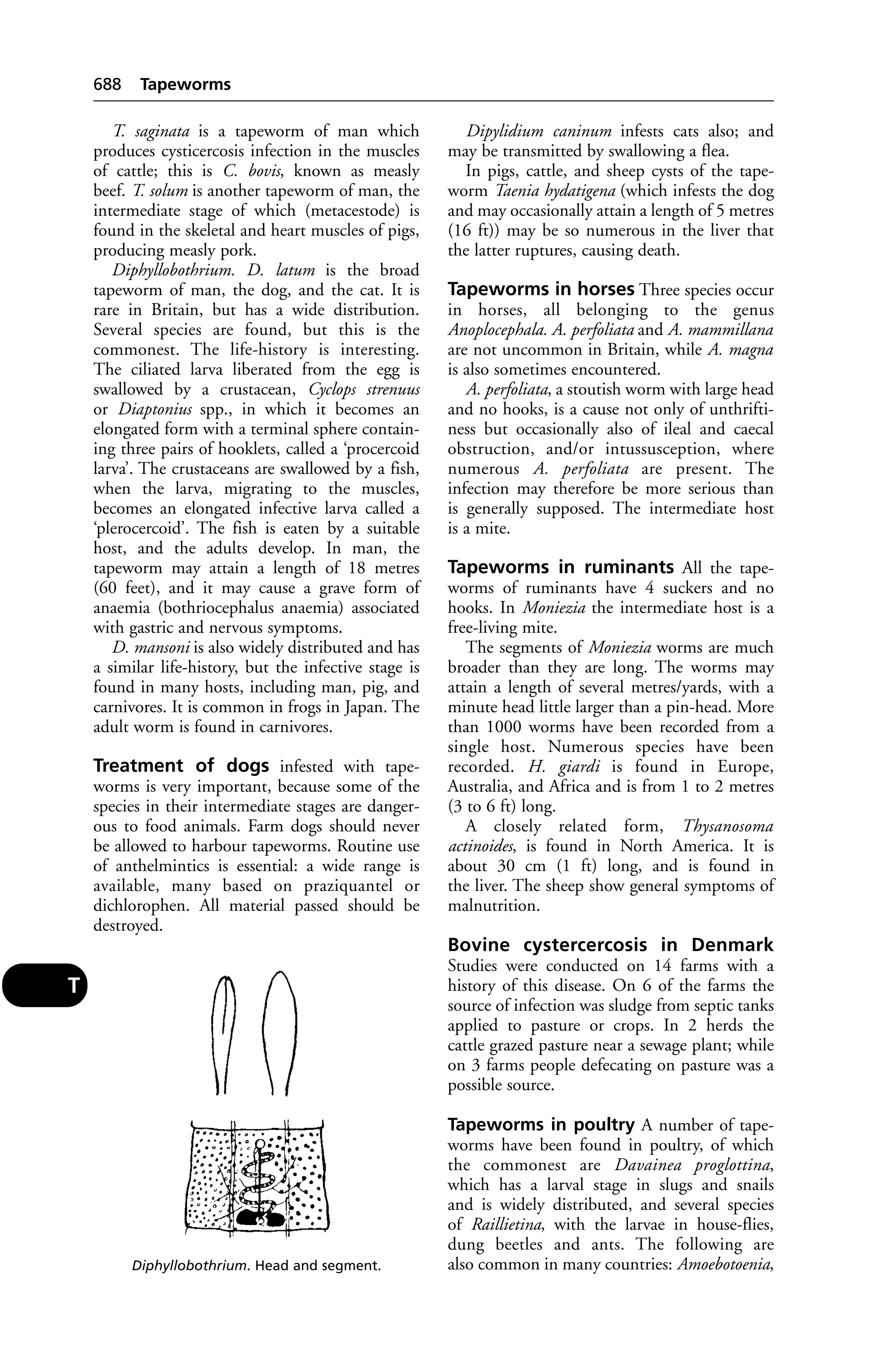 Veterinary dictionary _21st_edition