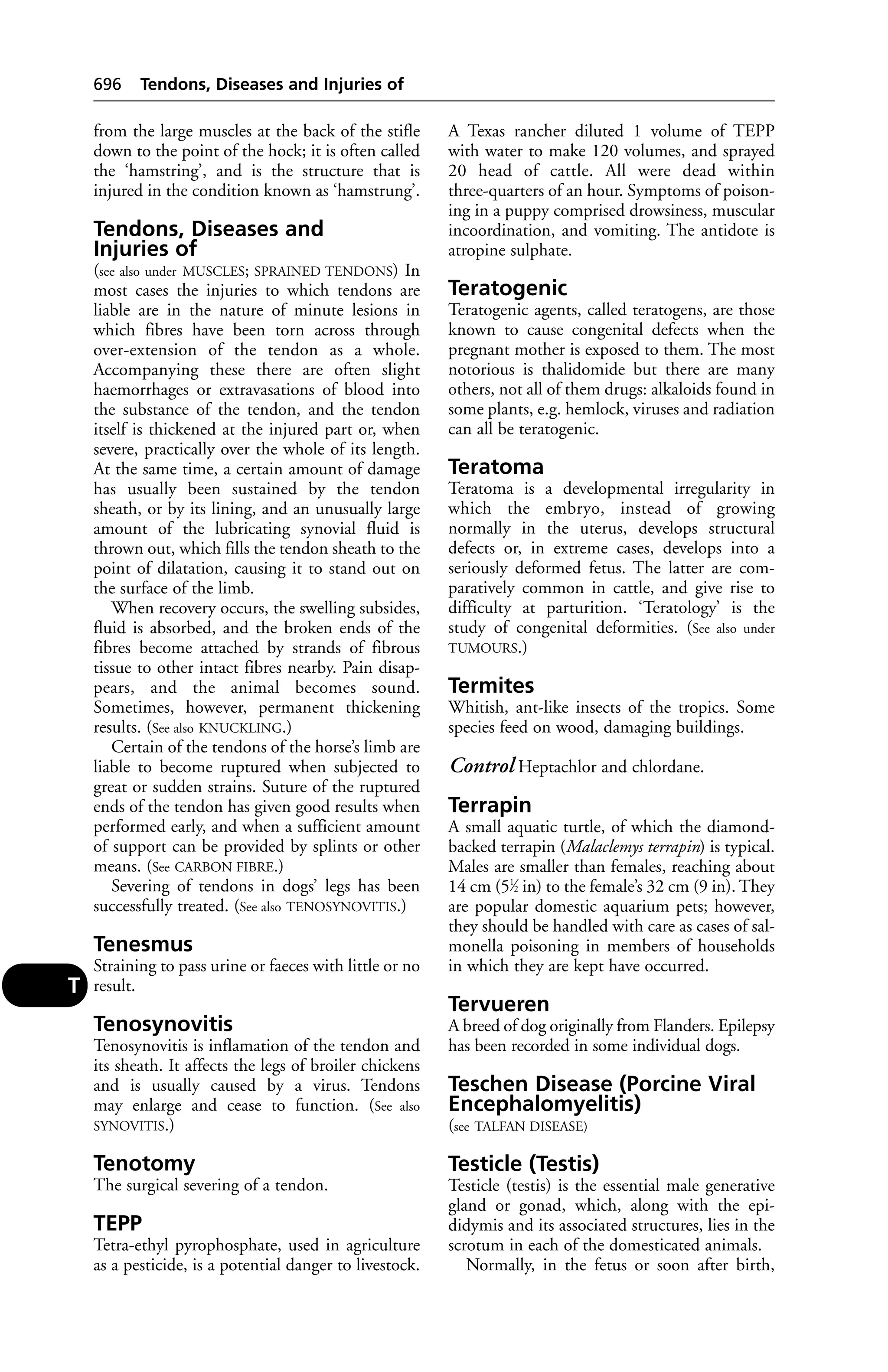 Veterinary dictionary _21st_edition