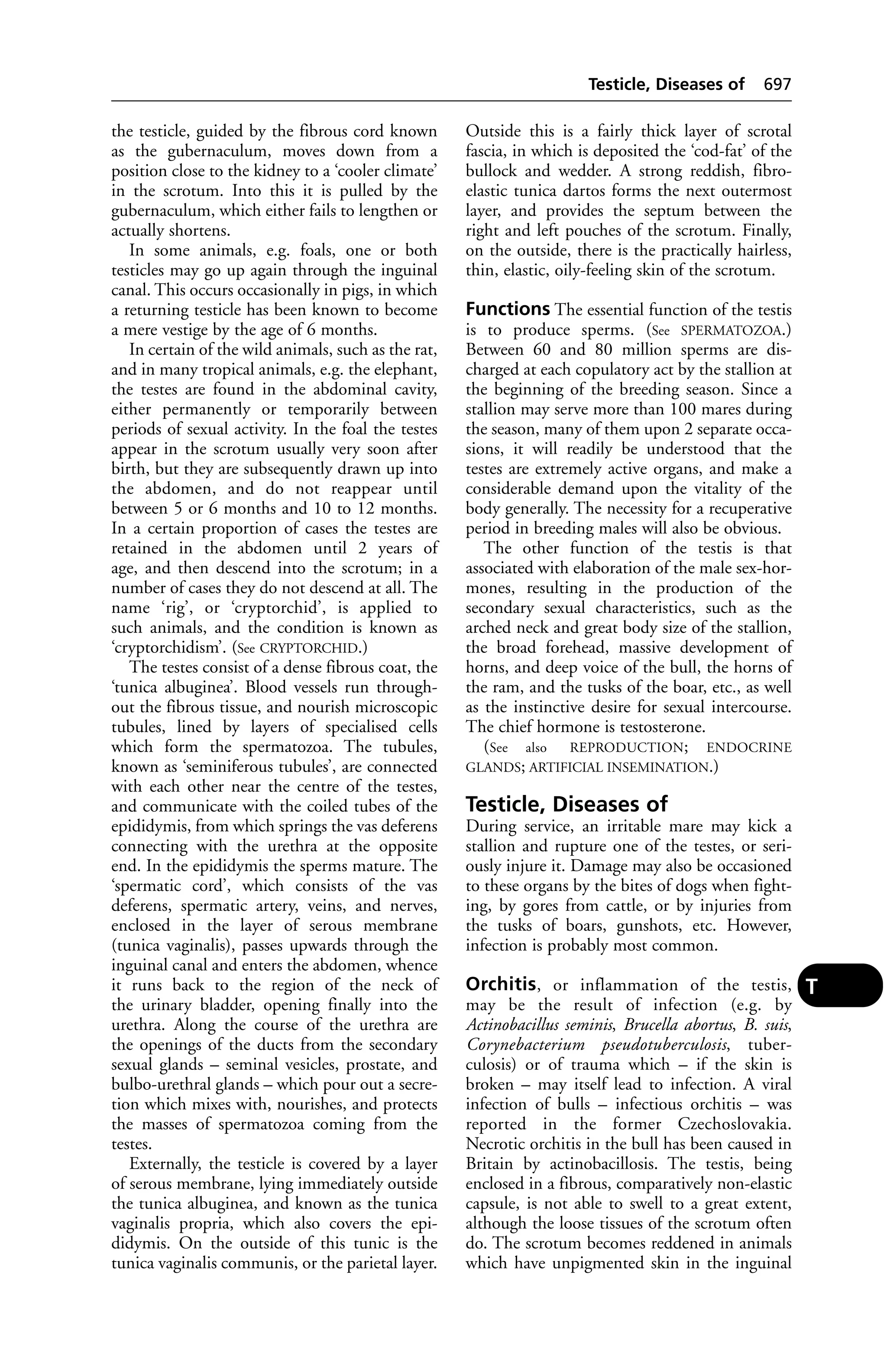 Veterinary dictionary _21st_edition