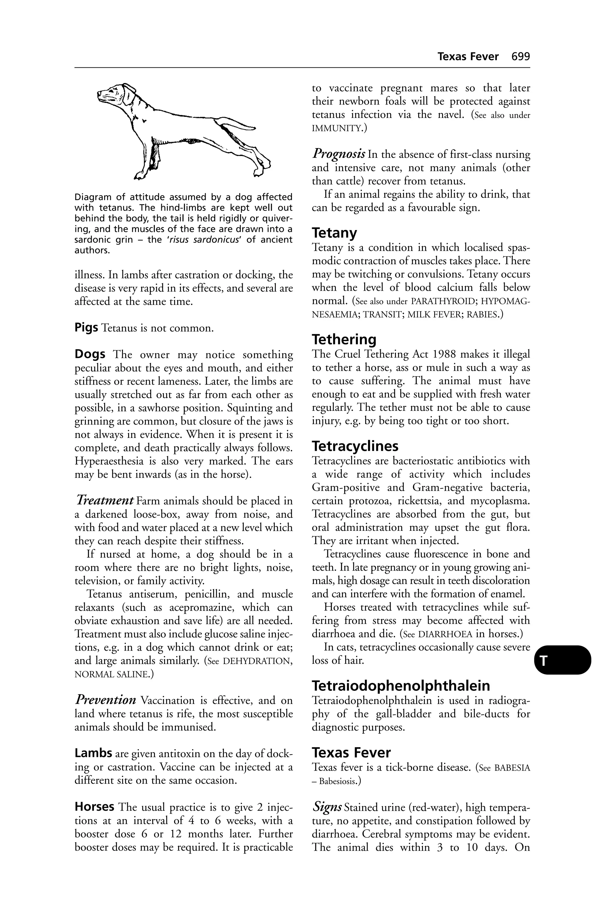 Veterinary dictionary _21st_edition