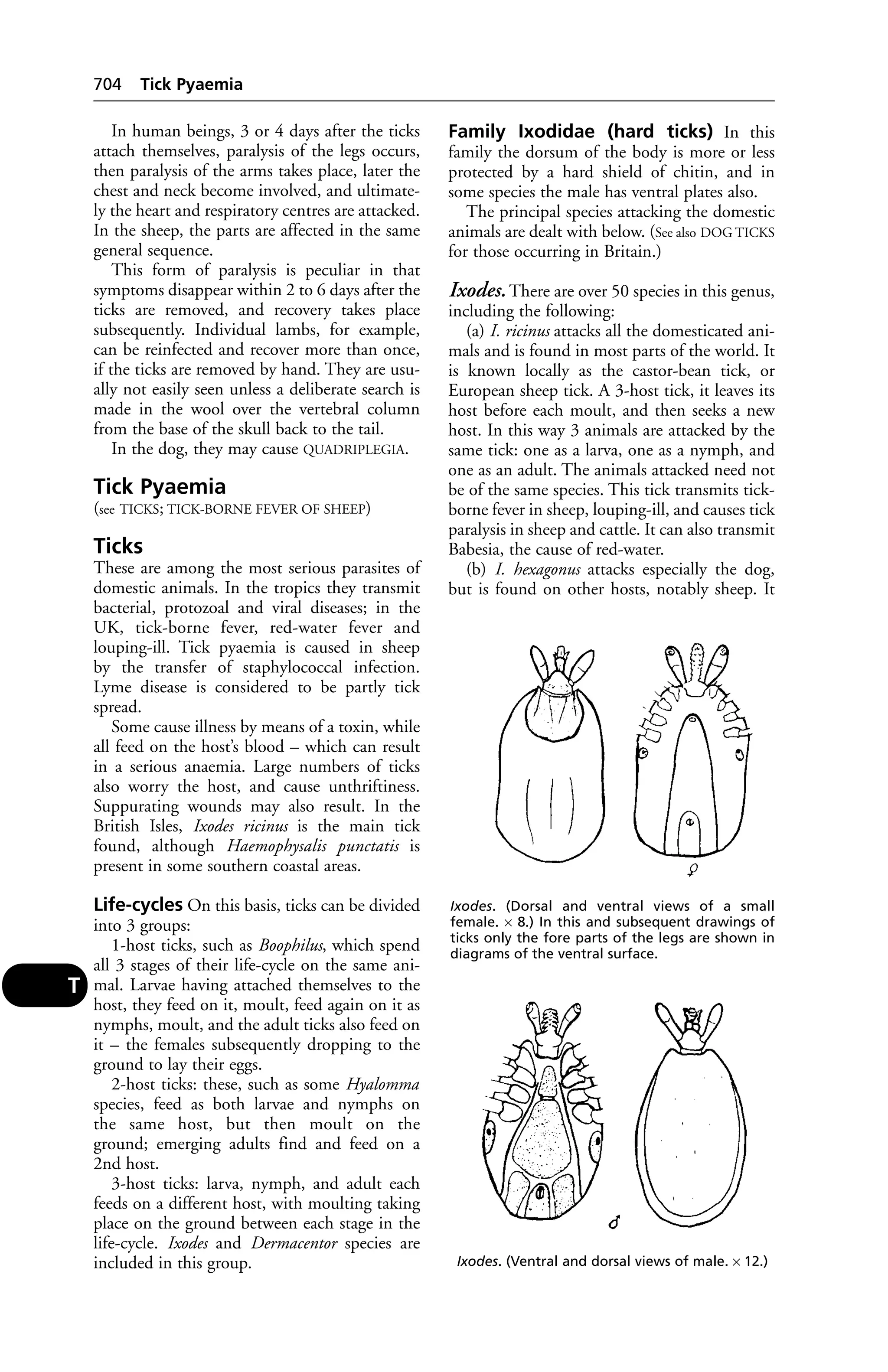 Veterinary dictionary _21st_edition