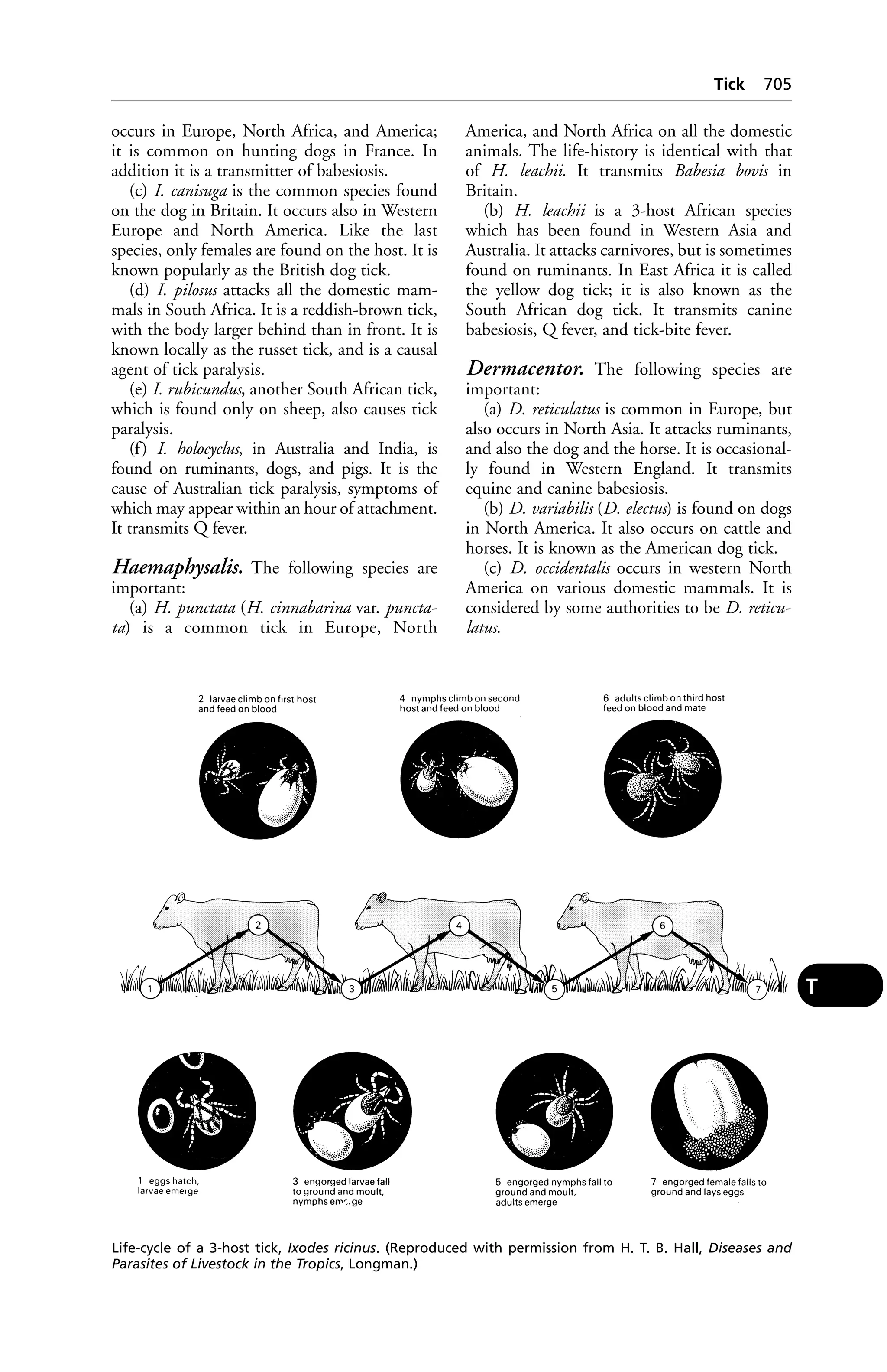 Veterinary dictionary _21st_edition