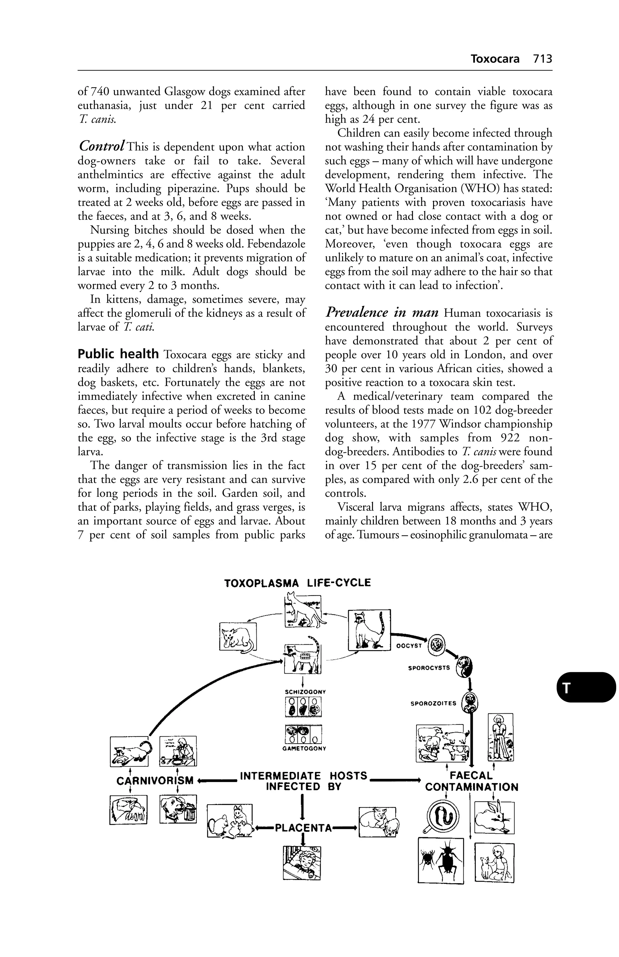Veterinary dictionary _21st_edition