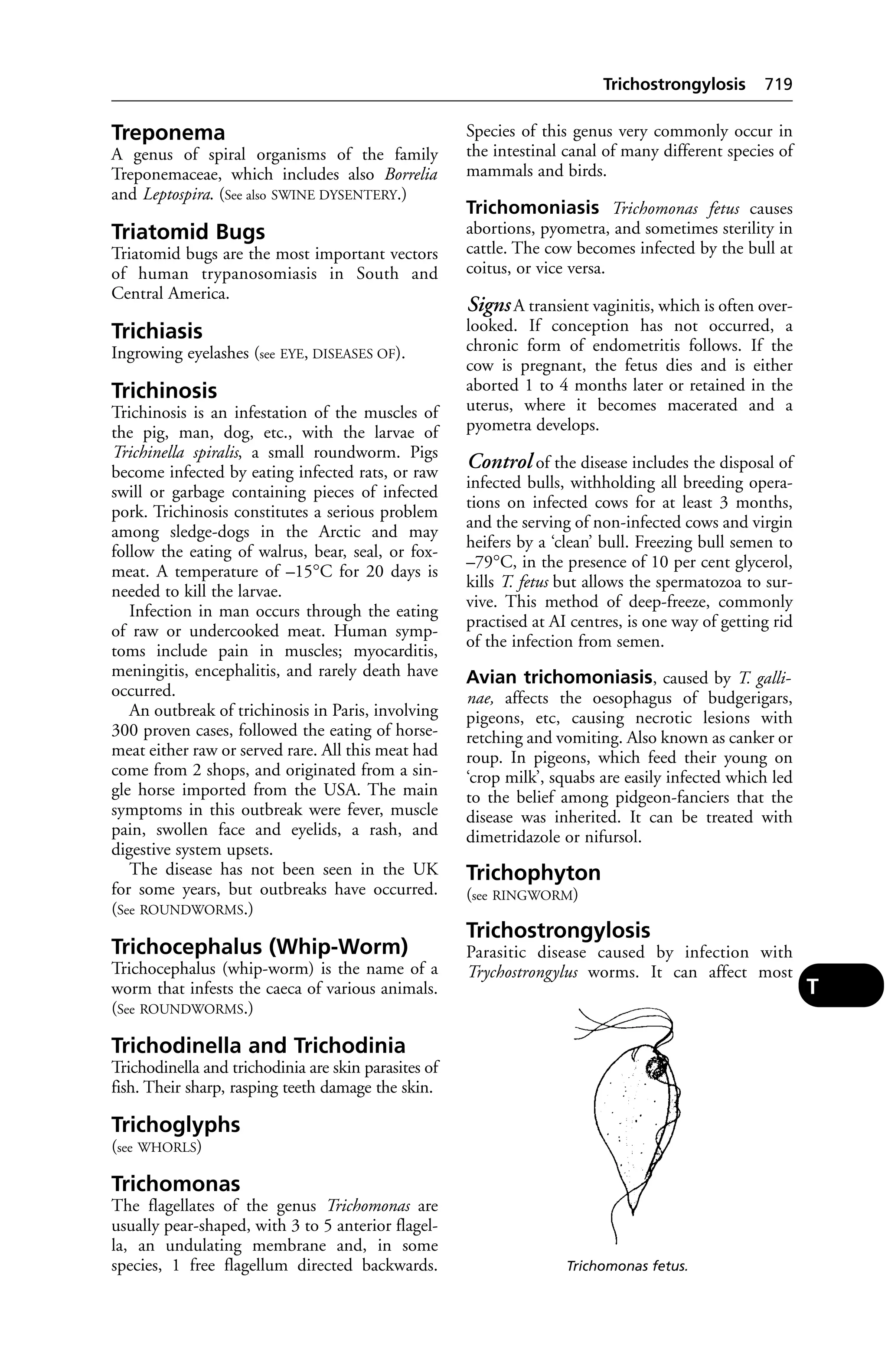 Veterinary dictionary _21st_edition