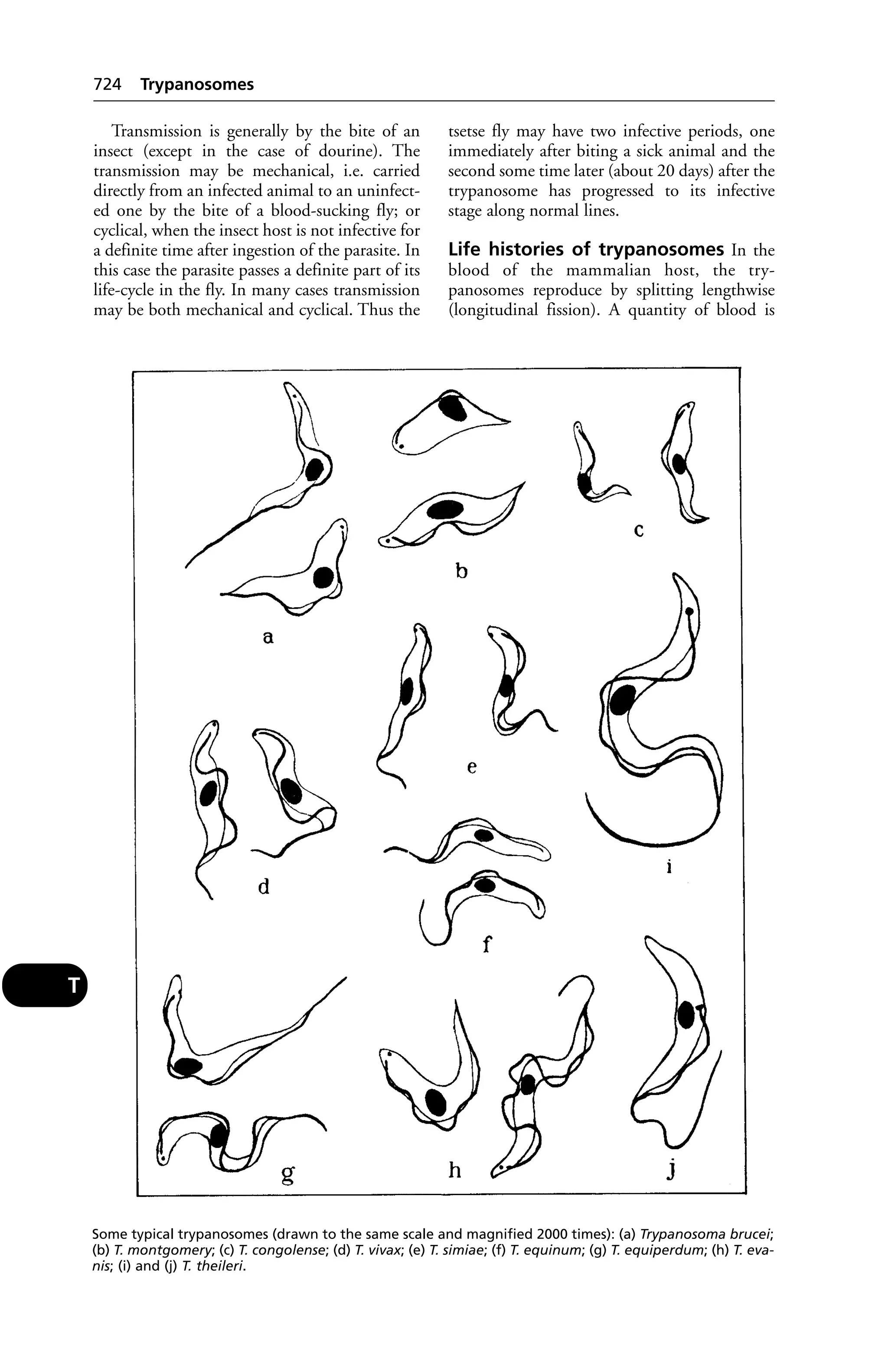 Veterinary dictionary _21st_edition