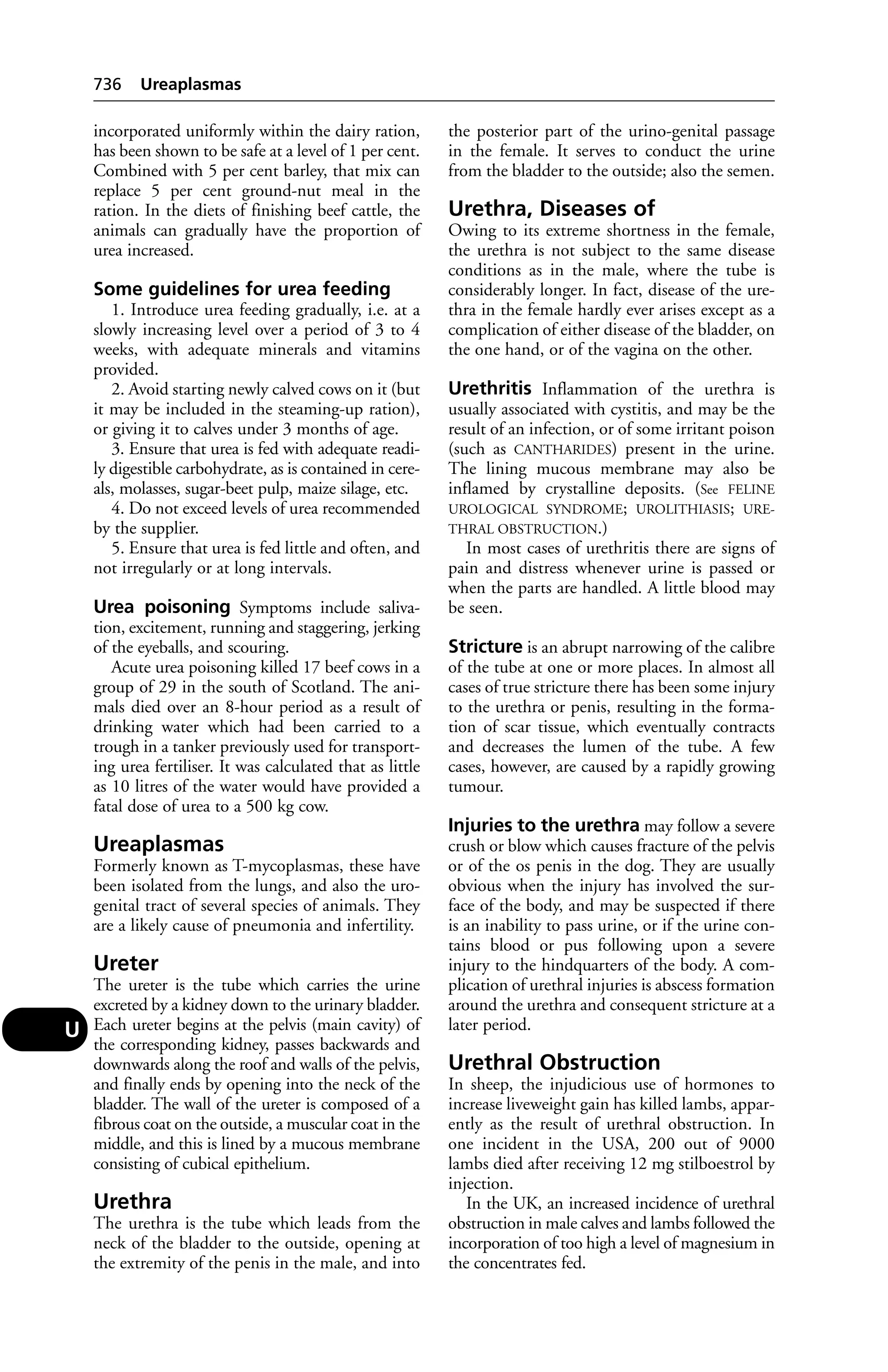 Veterinary dictionary _21st_edition