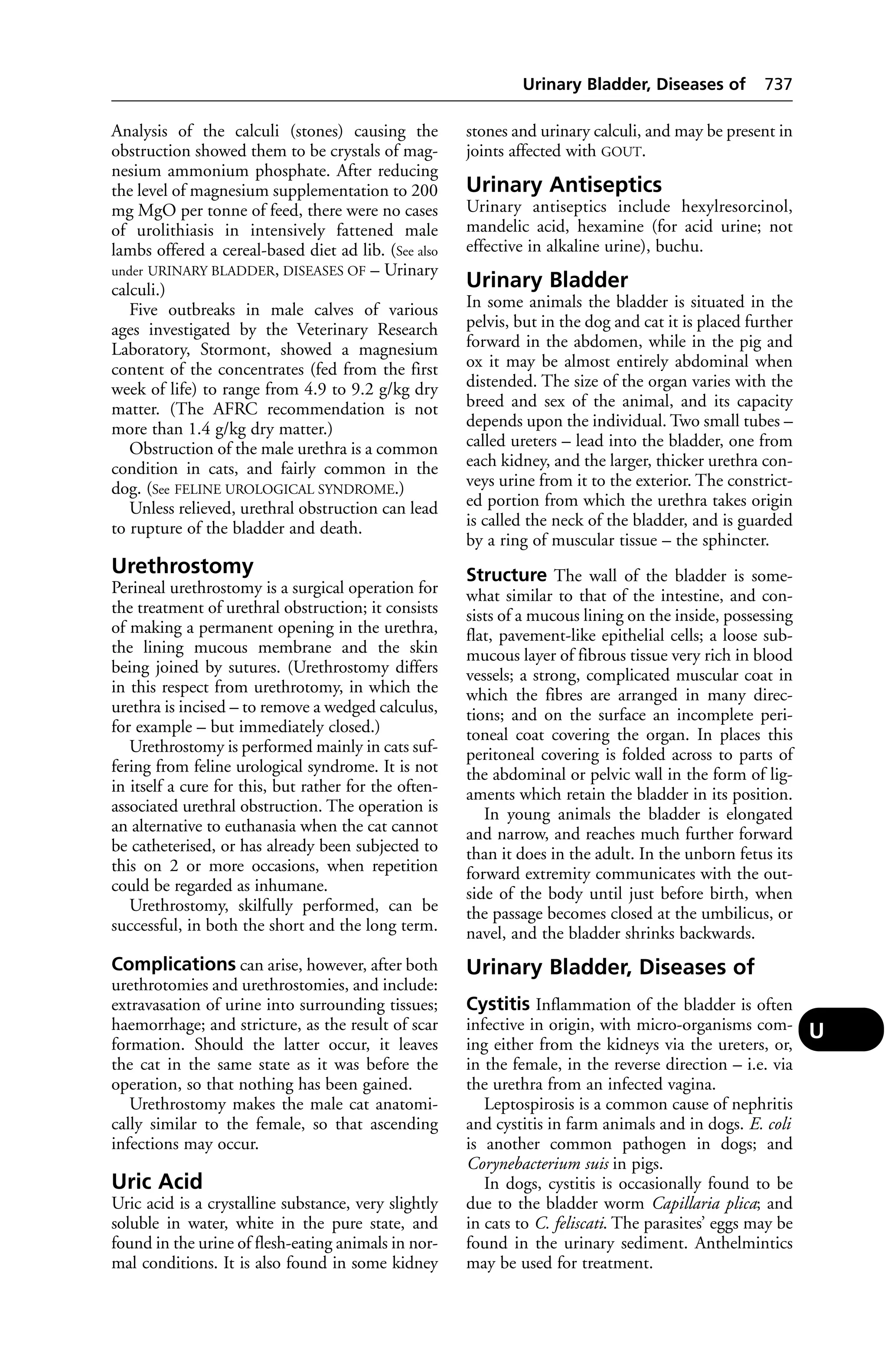 Veterinary dictionary _21st_edition