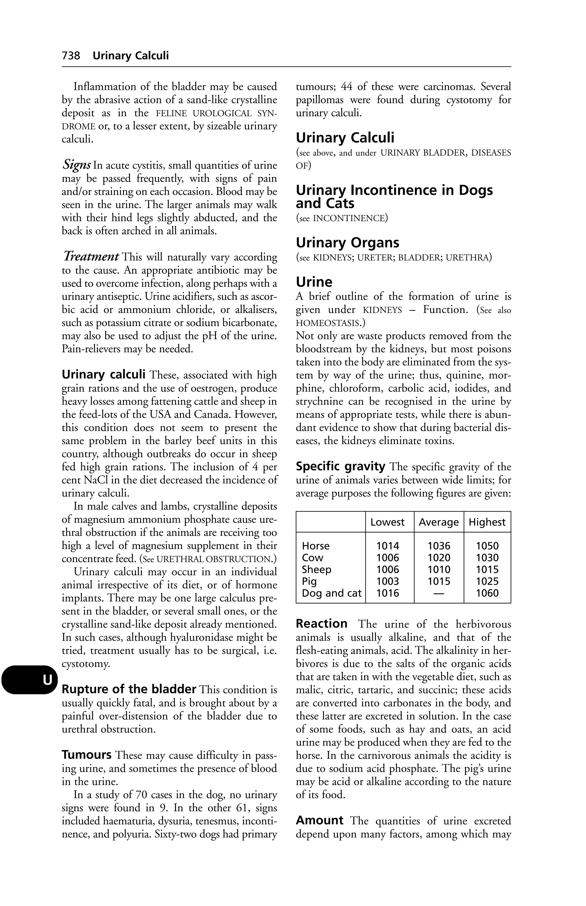 Veterinary dictionary _21st_edition