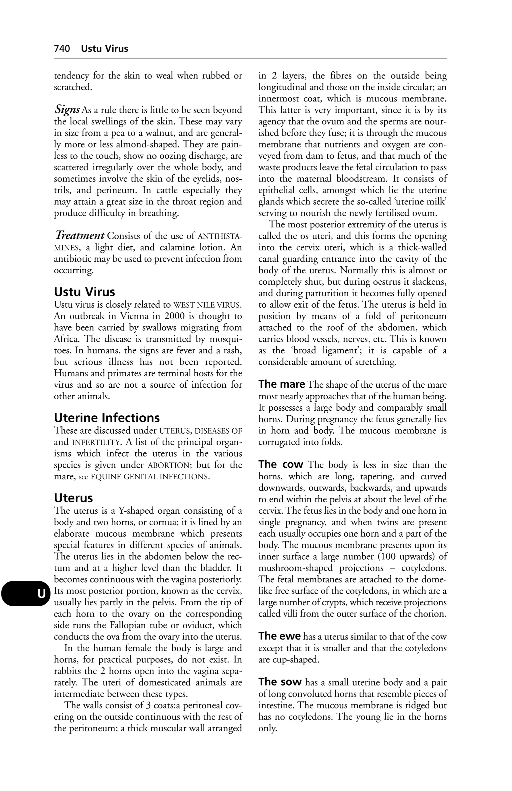 Veterinary dictionary _21st_edition