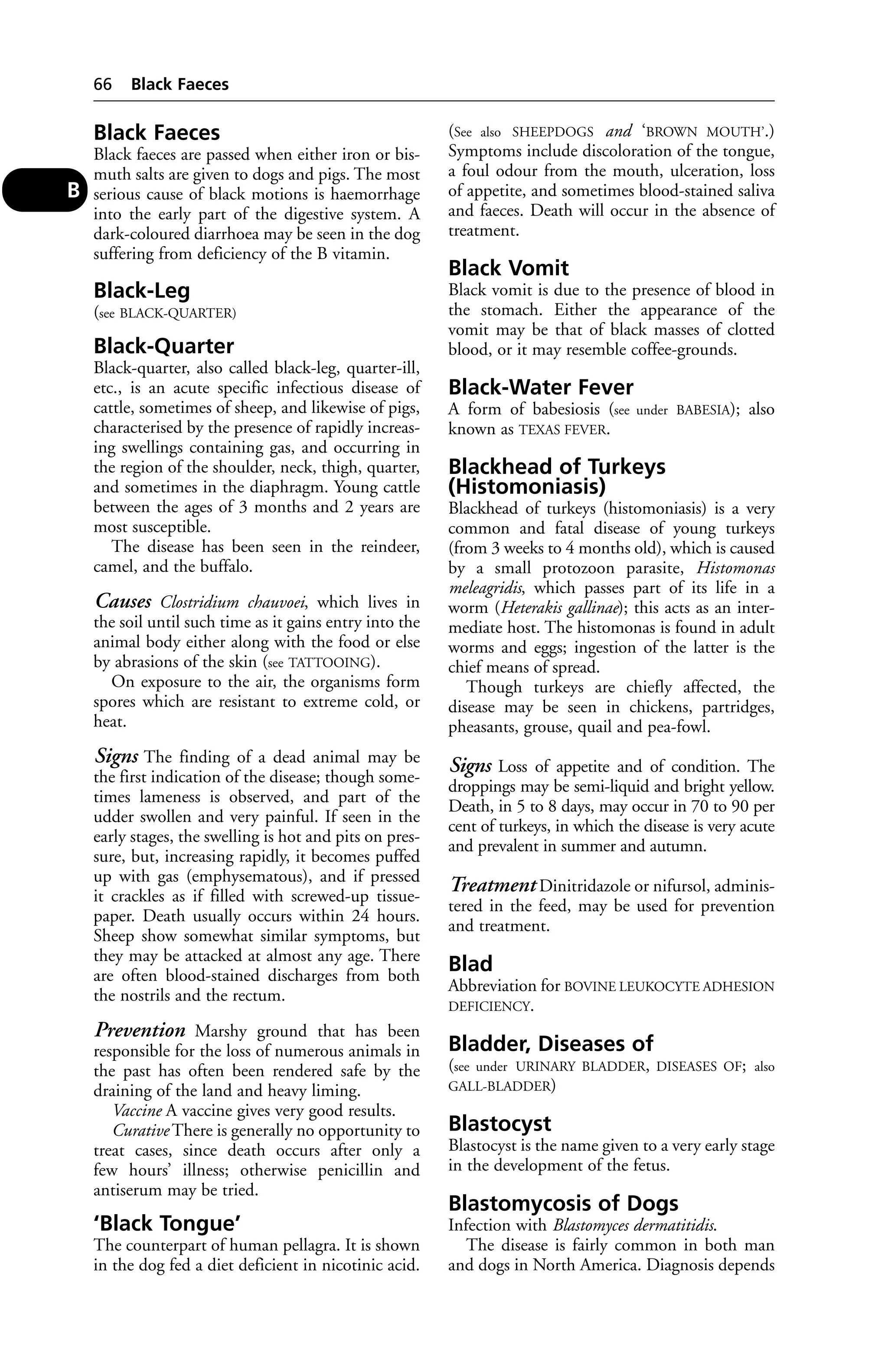 Black Faeces 
Black faeces are passed when either iron or bis-muth 
salts are given to dogs and pigs. The most 
serious cause of black motions is haemorrhage 
into the early part of the digestive system. A 
dark-coloured diarrhoea may be seen in the dog 
suffering from deficiency of the B vitamin. 
Black-Leg 
(see BLACK-QUARTER) 
Black-Quarter 
Black-quarter, also called black-leg, quarter-ill, 
etc., is an acute specific infectious disease of 
cattle, sometimes of sheep, and likewise of pigs, 
characterised by the presence of rapidly increas-ing 
swellings containing gas, and occurring in 
the region of the shoulder, neck, thigh, quarter, 
and sometimes in the diaphragm. Young cattle 
between the ages of 3 months and 2 years are 
most susceptible. 
The disease has been seen in the reindeer, 
camel, and the buffalo. 
Causes Clostridium chauvoei, which lives in 
the soil until such time as it gains entry into the 
animal body either along with the food or else 
by abrasions of the skin (see TATTOOING). 
On exposure to the air, the organisms form 
spores which are resistant to extreme cold, or 
heat. 
Signs The finding of a dead animal may be 
the first indication of the disease; though some-times 
lameness is observed, and part of the 
udder swollen and very painful. If seen in the 
early stages, the swelling is hot and pits on pres-sure, 
but, increasing rapidly, it becomes puffed 
up with gas (emphysematous), and if pressed 
it crackles as if filled with screwed-up tissue-paper. 
Death usually occurs within 24 hours. 
Sheep show somewhat similar symptoms, but 
they may be attacked at almost any age. There 
are often blood-stained discharges from both 
the nostrils and the rectum. 
Prevention Marshy ground that has been 
responsible for the loss of numerous animals in 
the past has often been rendered safe by the 
draining of the land and heavy liming. 
Vaccine A vaccine gives very good results. 
Curative There is generally no opportunity to 
treat cases, since death occurs after only a 
few hours’ illness; otherwise penicillin and 
antiserum may be tried. 
‘Black Tongue’ 
The counterpart of human pellagra. It is shown 
in the dog fed a diet deficient in nicotinic acid. 
(See also SHEEPDOGS and ‘BROWN MOUTH’.) 
Symptoms include discoloration of the tongue, 
a foul odour from the mouth, ulceration, loss 
of appetite, and sometimes blood-stained saliva 
and faeces. Death will occur in the absence of 
treatment. 
Black Vomit 
Black vomit is due to the presence of blood in 
the stomach. Either the appearance of the 
vomit may be that of black masses of clotted 
blood, or it may resemble coffee-grounds. 
Black-Water Fever 
A form of babesiosis (see under BABESIA); also 
known as TEXAS FEVER. 
Blackhead of Turkeys 
(Histomoniasis) 
Blackhead of turkeys (histomoniasis) is a very 
common and fatal disease of young turkeys 
(from 3 weeks to 4 months old), which is caused 
by a small protozoon parasite, Histomonas 
meleagridis, which passes part of its life in a 
worm (Heterakis gallinae); this acts as an inter-mediate 
host. The histomonas is found in adult 
worms and eggs; ingestion of the latter is the 
chief means of spread. 
Though turkeys are chiefly affected, the 
disease may be seen in chickens, partridges, 
pheasants, grouse, quail and pea-fowl. 
Signs Loss of appetite and of condition. The 
droppings may be semi-liquid and bright yellow. 
Death, in 5 to 8 days, may occur in 70 to 90 per 
cent of turkeys, in which the disease is very acute 
and prevalent in summer and autumn. 
Treatment Dinitridazole or nifursol, adminis-tered 
in the feed, may be used for prevention 
and treatment. 
Blad 
Abbreviation for BOVINE LEUKOCYTE ADHESION 
DEFICIENCY. 
Bladder, Diseases of 
(see under URINARY BLADDER, DISEASES OF; also 
GALL-BLADDER) 
Blastocyst 
Blastocyst is the name given to a very early stage 
in the development of the fetus. 
Blastomycosis of Dogs 
Infection with Blastomyces dermatitidis. 
The disease is fairly common in both man 
and dogs in North America. Diagnosis depends 
66 Black Faeces 
B 
 