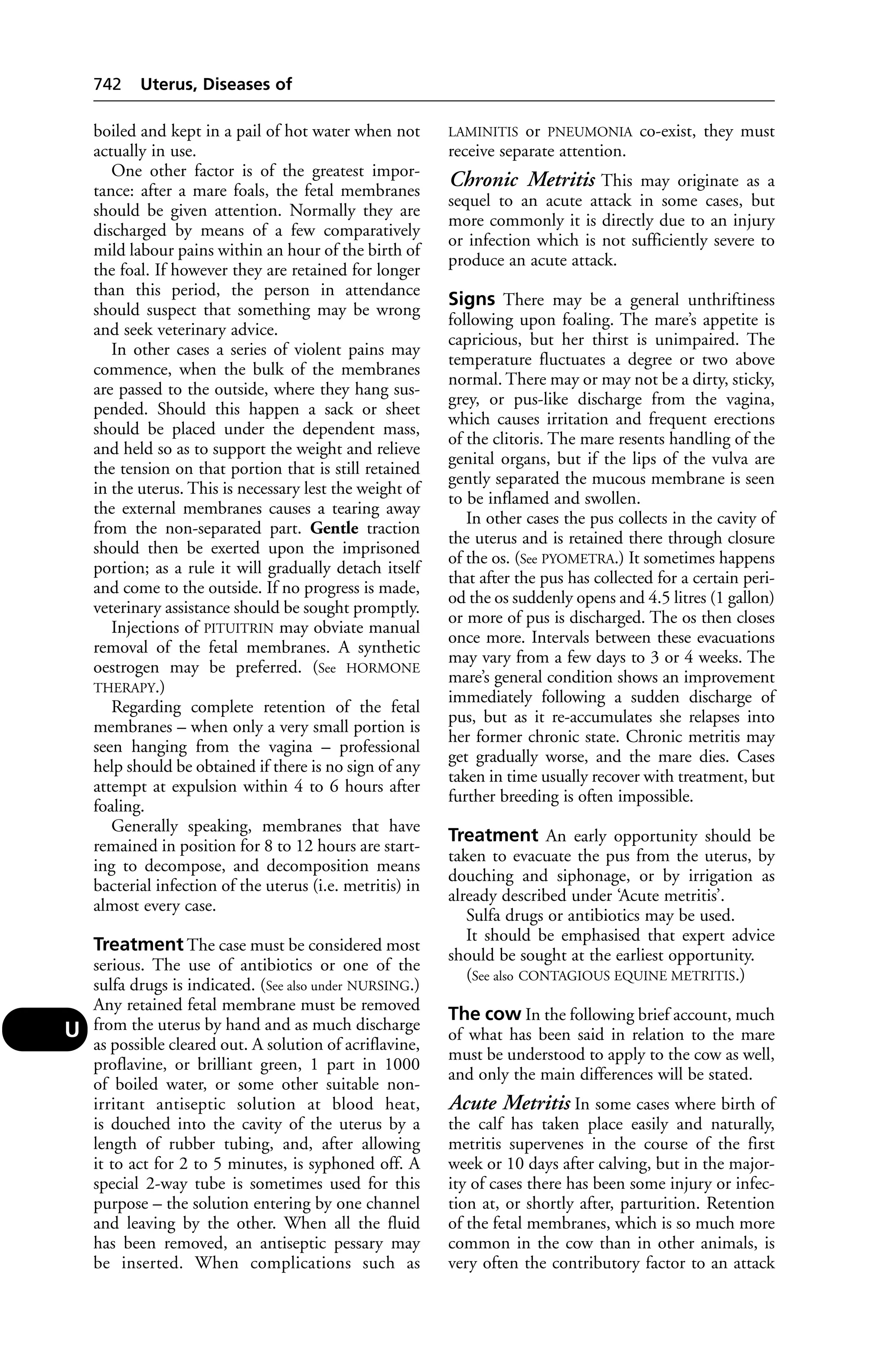 Veterinary dictionary _21st_edition