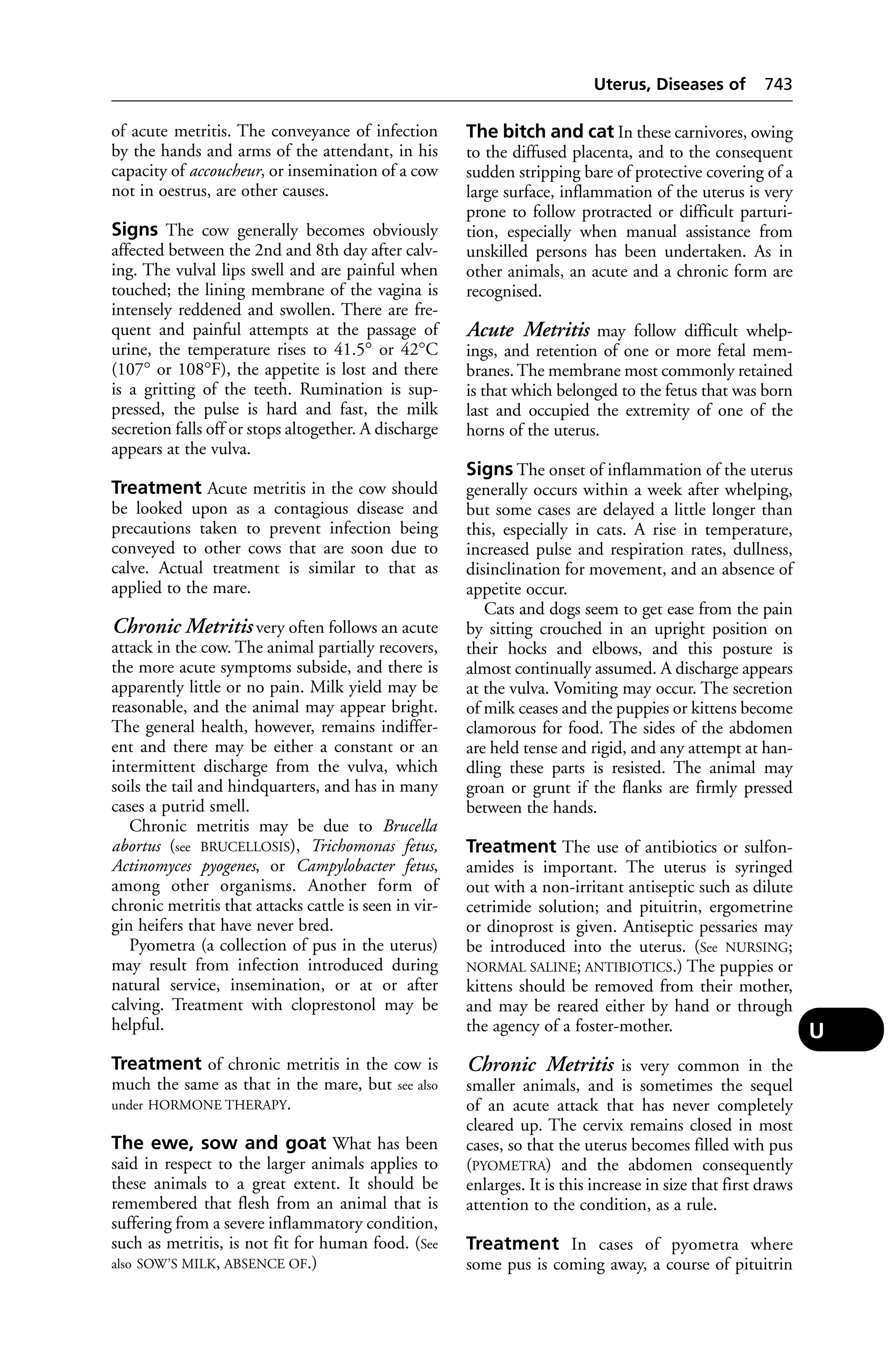 Veterinary dictionary _21st_edition