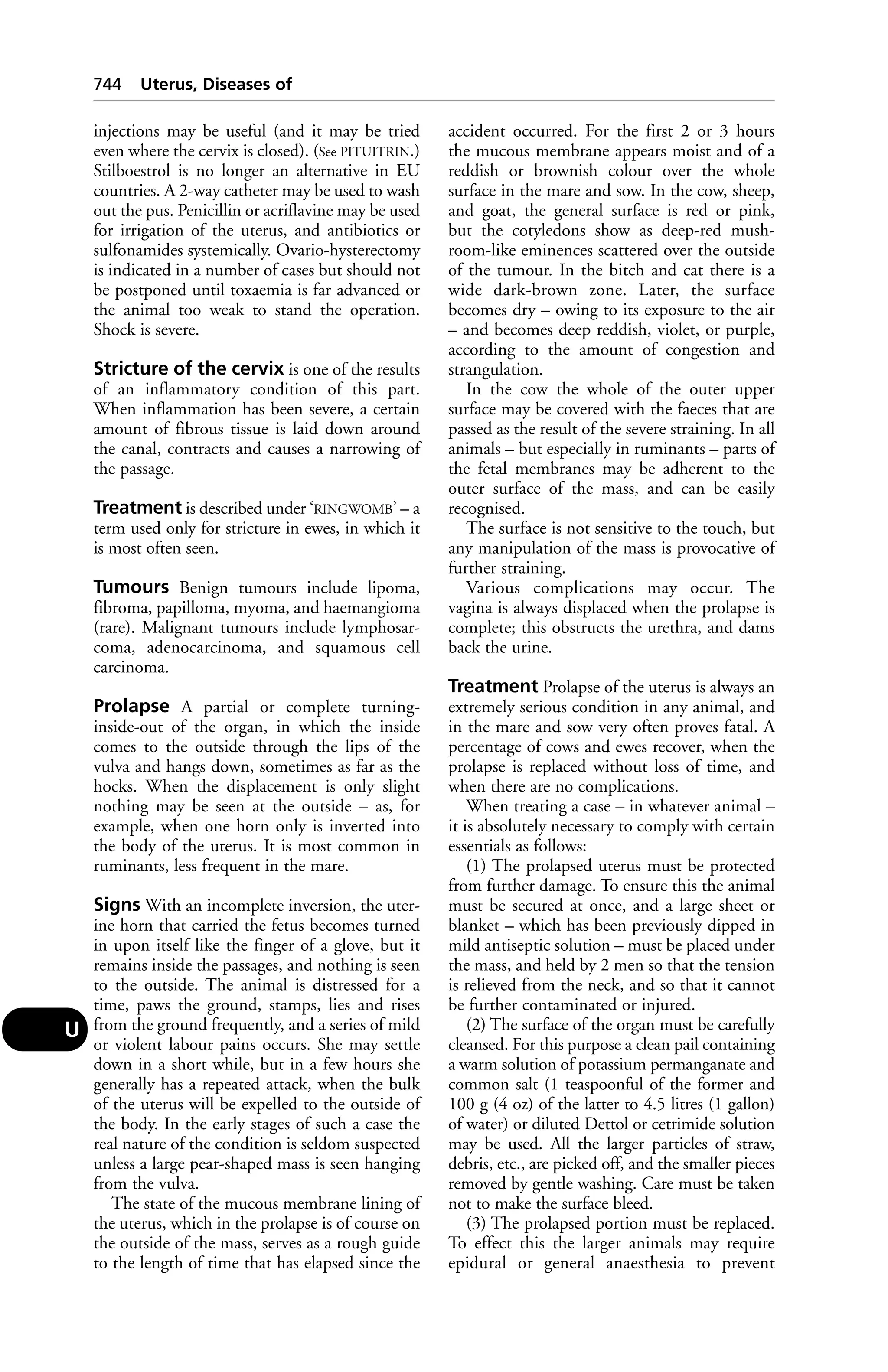 Veterinary dictionary _21st_edition