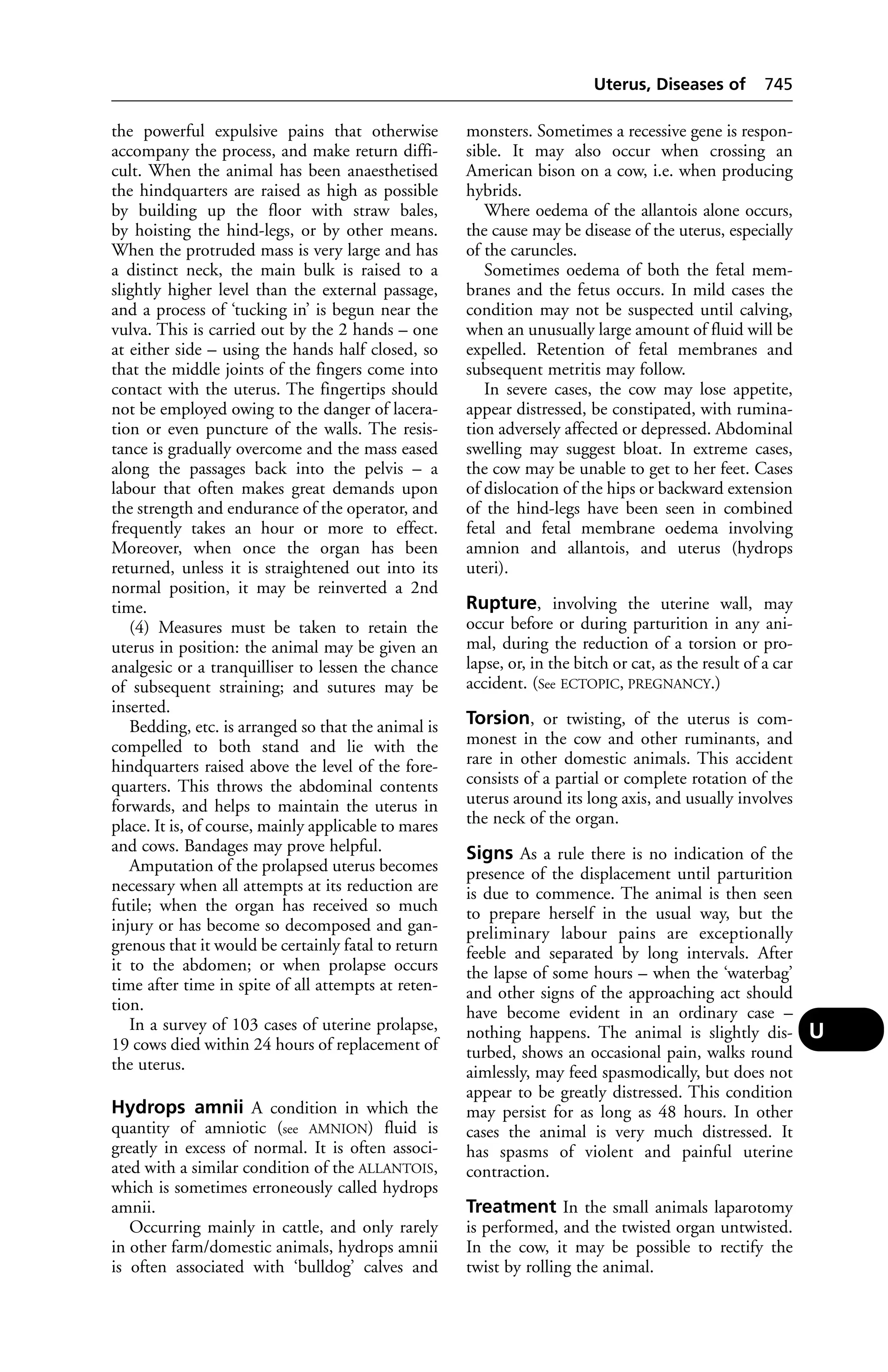 Veterinary dictionary _21st_edition