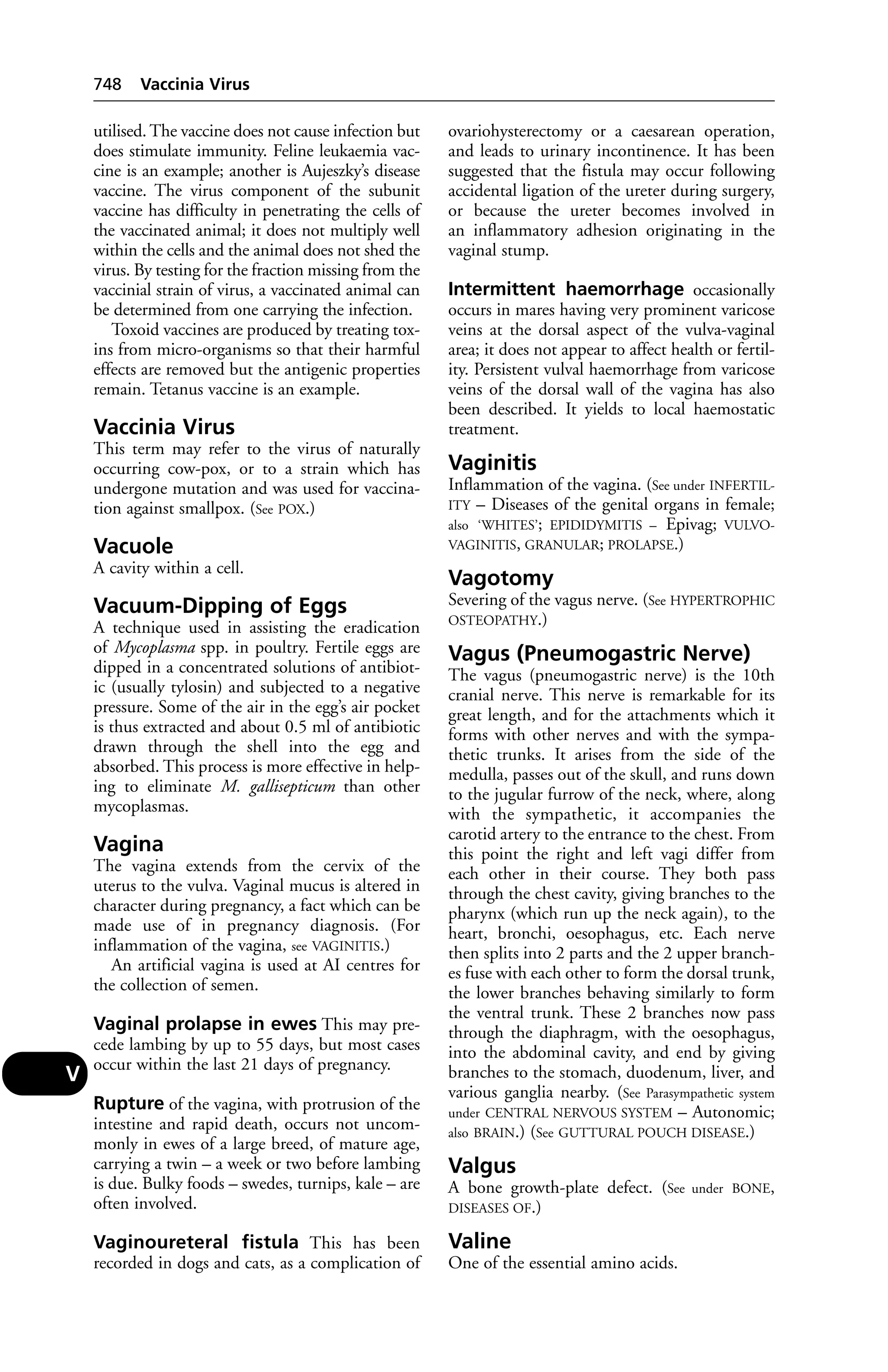 Veterinary dictionary _21st_edition