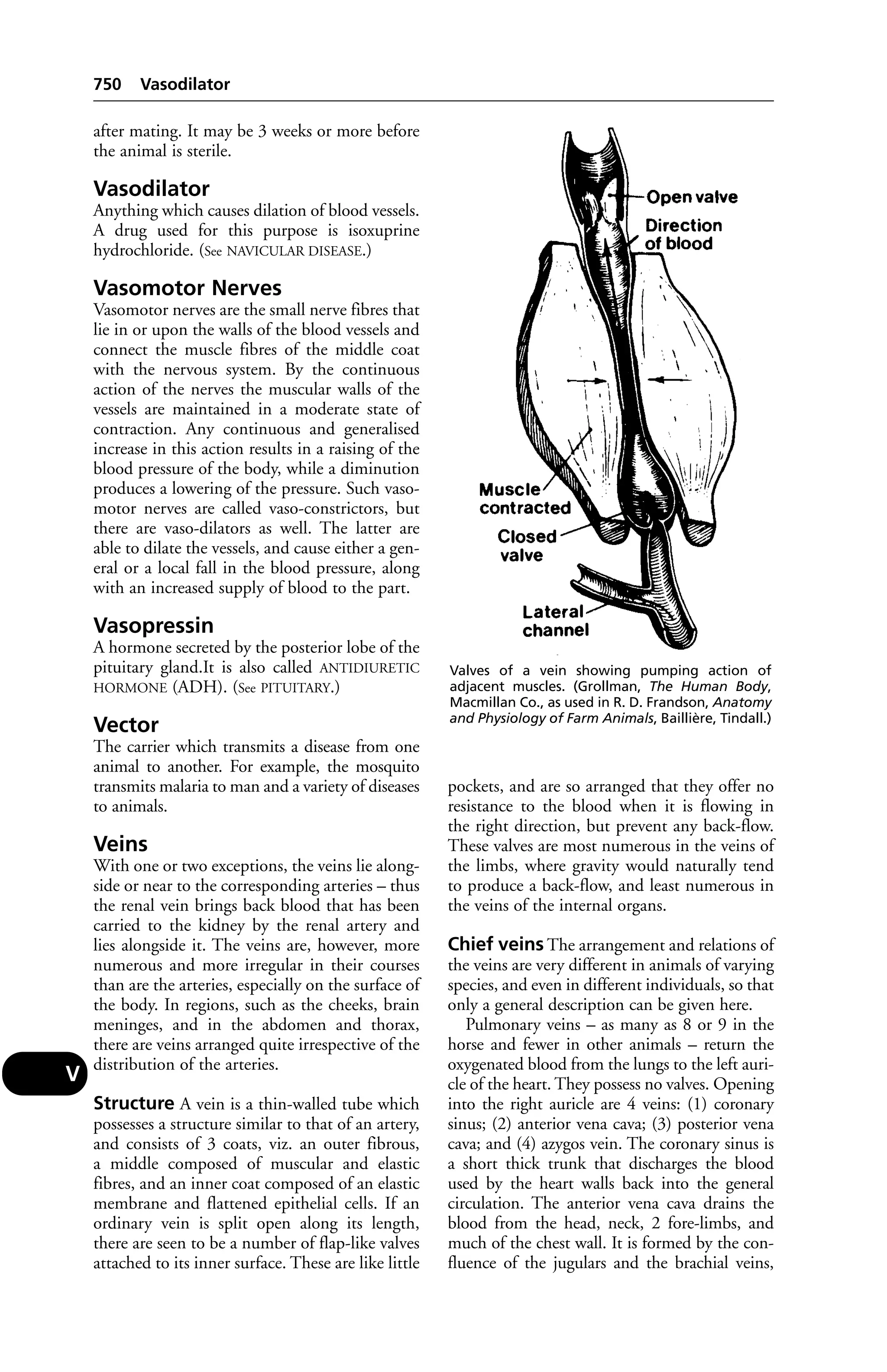Veterinary dictionary _21st_edition