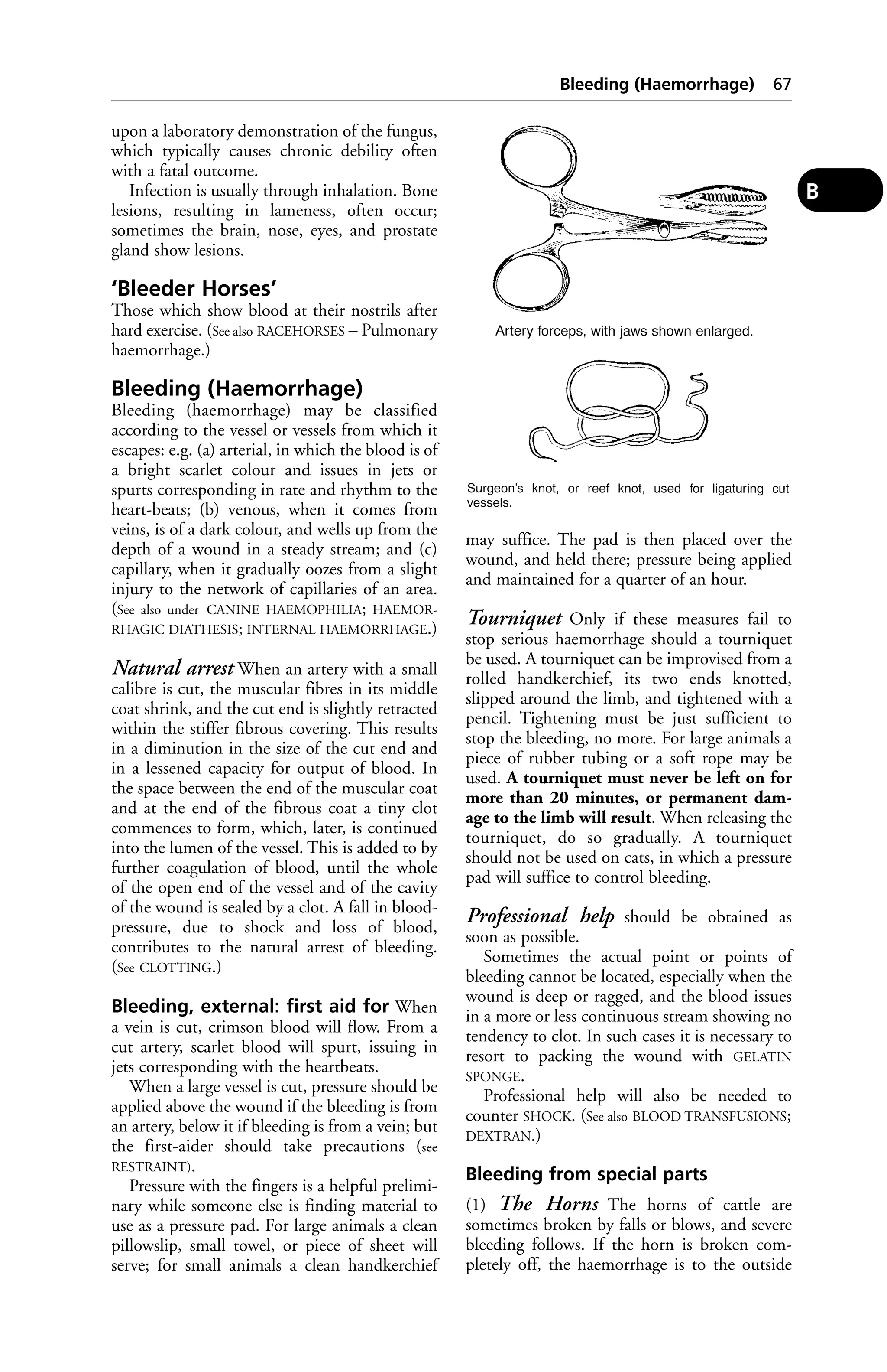 upon a laboratory demonstration of the fungus, 
which typically causes chronic debility often 
with a fatal outcome. 
Infection is usually through inhalation. Bone 
lesions, resulting in lameness, often occur; 
sometimes the brain, nose, eyes, and prostate 
gland show lesions. 
‘Bleeder Horses’ 
Those which show blood at their nostrils after 
hard exercise. (See also RACEHORSES – Pulmonary 
haemorrhage.) 
Bleeding (Haemorrhage) 
Bleeding (haemorrhage) may be classified 
according to the vessel or vessels from which it 
escapes: e.g. (a) arterial, in which the blood is of 
a bright scarlet colour and issues in jets or 
spurts corresponding in rate and rhythm to the 
heart-beats; (b) venous, when it comes from 
veins, is of a dark colour, and wells up from the 
depth of a wound in a steady stream; and (c) 
capillary, when it gradually oozes from a slight 
injury to the network of capillaries of an area. 
(See also under CANINE HAEMOPHILIA; HAEMOR-RHAGIC 
DIATHESIS; INTERNAL HAEMORRHAGE.) 
Natural arrest When an artery with a small 
calibre is cut, the muscular fibres in its middle 
coat shrink, and the cut end is slightly retracted 
within the stiffer fibrous covering. This results 
in a diminution in the size of the cut end and 
in a lessened capacity for output of blood. In 
the space between the end of the muscular coat 
and at the end of the fibrous coat a tiny clot 
commences to form, which, later, is continued 
into the lumen of the vessel. This is added to by 
further coagulation of blood, until the whole 
of the open end of the vessel and of the cavity 
of the wound is sealed by a clot. A fall in blood-pressure, 
due to shock and loss of blood, 
contributes to the natural arrest of bleeding. 
(See CLOTTING.) 
Bleeding, external: first aid for When 
a vein is cut, crimson blood will flow. From a 
cut artery, scarlet blood will spurt, issuing in 
jets corresponding with the heartbeats. 
When a large vessel is cut, pressure should be 
applied above the wound if the bleeding is from 
an artery, below it if bleeding is from a vein; but 
the first-aider should take precautions (see 
RESTRAINT). 
Pressure with the fingers is a helpful prelimi-nary 
while someone else is finding material to 
use as a pressure pad. For large animals a clean 
pillowslip, small towel, or piece of sheet will 
serve; for small animals a clean handkerchief 
Bleeding (Haemorrhage) 67 
may suffice. The pad is then placed over the 
wound, and held there; pressure being applied 
and maintained for a quarter of an hour. 
Tourniquet Only if these measures fail to 
stop serious haemorrhage should a tourniquet 
be used. A tourniquet can be improvised from a 
rolled handkerchief, its two ends knotted, 
slipped around the limb, and tightened with a 
pencil. Tightening must be just sufficient to 
stop the bleeding, no more. For large animals a 
piece of rubber tubing or a soft rope may be 
used. A tourniquet must never be left on for 
more than 20 minutes, or permanent dam-age 
to the limb will result. When releasing the 
tourniquet, do so gradually. A tourniquet 
should not be used on cats, in which a pressure 
pad will suffice to control bleeding. 
Professional help should be obtained as 
soon as possible. 
Sometimes the actual point or points of 
bleeding cannot be located, especially when the 
wound is deep or ragged, and the blood issues 
in a more or less continuous stream showing no 
tendency to clot. In such cases it is necessary to 
resort to packing the wound with GELATIN 
SPONGE. 
Professional help will also be needed to 
counter SHOCK. (See also BLOOD TRANSFUSIONS; 
DEXTRAN.) 
Bleeding from special parts 
(1) The Horns The horns of cattle are 
sometimes broken by falls or blows, and severe 
bleeding follows. If the horn is broken com-pletely 
off, the haemorrhage is to the outside 
B 
 
