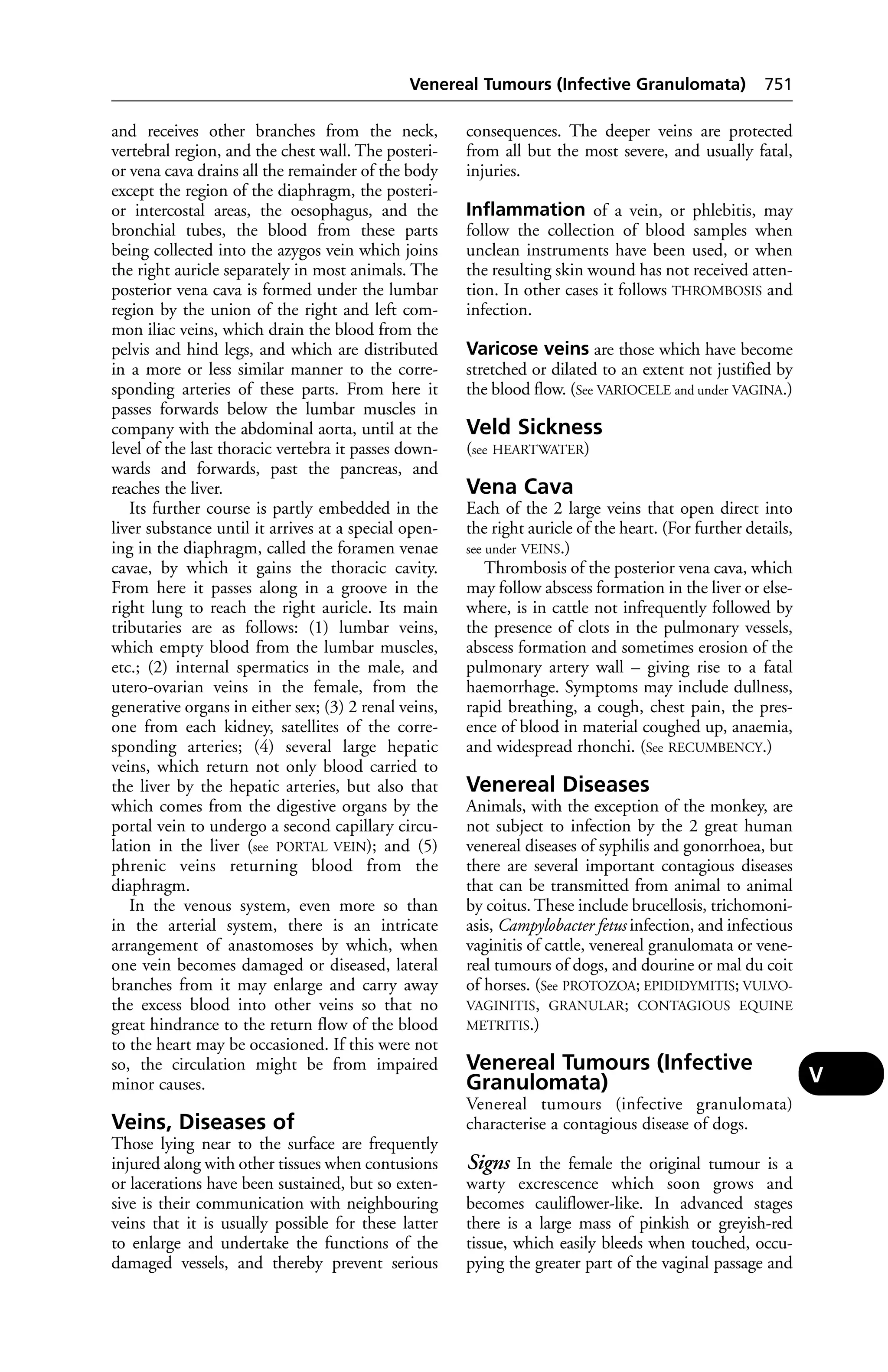 Veterinary dictionary _21st_edition