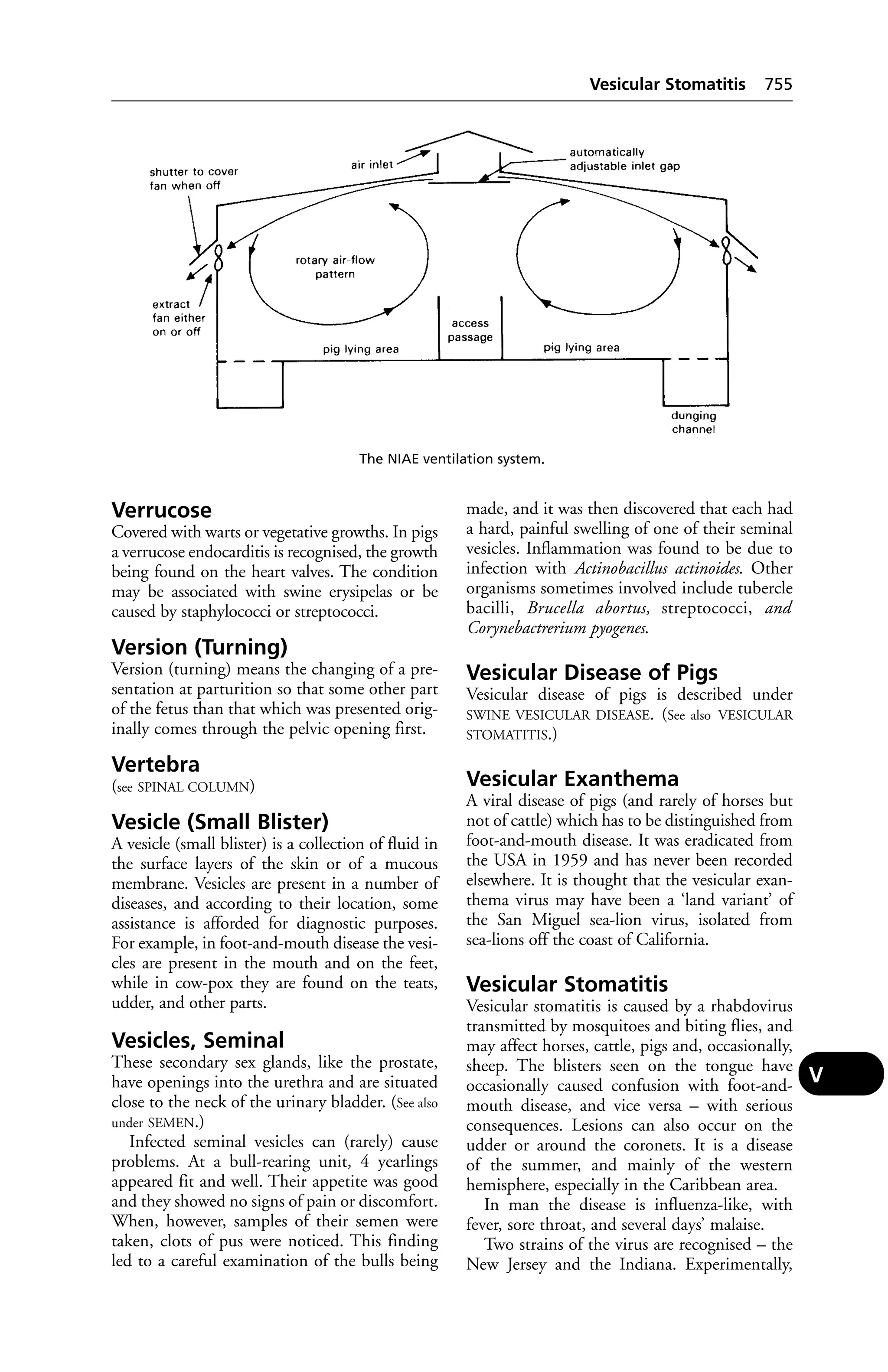Veterinary dictionary _21st_edition