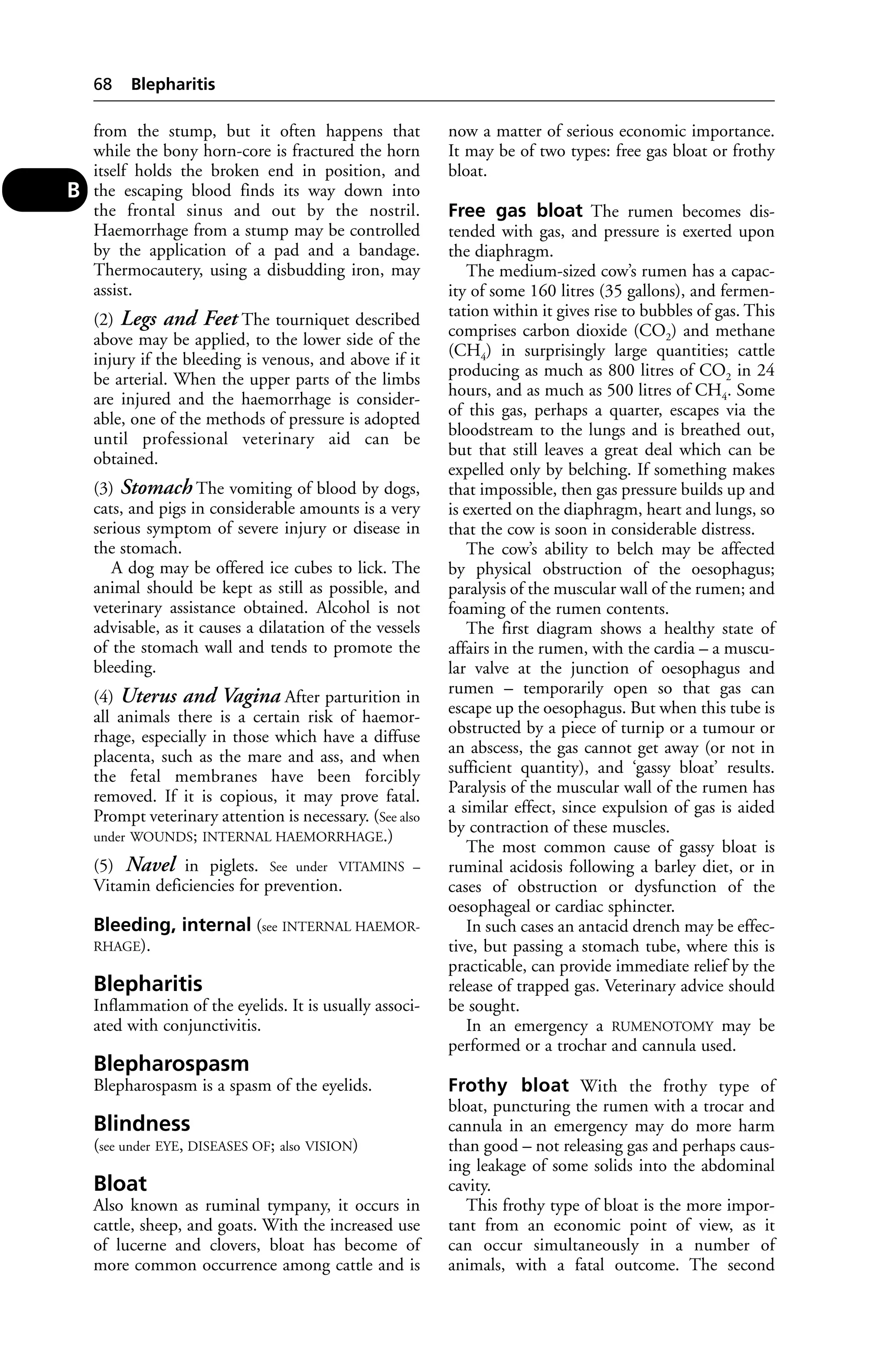 from the stump, but it often happens that 
while the bony horn-core is fractured the horn 
itself holds the broken end in position, and 
the escaping blood finds its way down into 
the frontal sinus and out by the nostril. 
Haemorrhage from a stump may be controlled 
by the application of a pad and a bandage. 
Thermocautery, using a disbudding iron, may 
assist. 
(2) Legs and Feet The tourniquet described 
above may be applied, to the lower side of the 
injury if the bleeding is venous, and above if it 
be arterial. When the upper parts of the limbs 
are injured and the haemorrhage is consider-able, 
one of the methods of pressure is adopted 
until professional veterinary aid can be 
obtained. 
(3) Stomach The vomiting of blood by dogs, 
cats, and pigs in considerable amounts is a very 
serious symptom of severe injury or disease in 
the stomach. 
A dog may be offered ice cubes to lick. The 
animal should be kept as still as possible, and 
veterinary assistance obtained. Alcohol is not 
advisable, as it causes a dilatation of the vessels 
of the stomach wall and tends to promote the 
bleeding. 
(4) Uterus and Vagina After parturition in 
all animals there is a certain risk of haemor-rhage, 
especially in those which have a diffuse 
placenta, such as the mare and ass, and when 
the fetal membranes have been forcibly 
removed. If it is copious, it may prove fatal. 
Prompt veterinary attention is necessary. (See also 
under WOUNDS; INTERNAL HAEMORRHAGE.) 
(5) Navel in piglets. See under VITAMINS – 
Vitamin deficiencies for prevention. 
Bleeding, internal (see INTERNAL HAEMOR-RHAGE). 
Blepharitis 
Inflammation of the eyelids. It is usually associ-ated 
with conjunctivitis. 
Blepharospasm 
Blepharospasm is a spasm of the eyelids. 
Blindness 
(see under EYE, DISEASES OF; also VISION) 
Bloat 
Also known as ruminal tympany, it occurs in 
cattle, sheep, and goats. With the increased use 
of lucerne and clovers, bloat has become of 
more common occurrence among cattle and is 
now a matter of serious economic importance. 
It may be of two types: free gas bloat or frothy 
bloat. 
Free gas bloat The rumen becomes dis-tended 
with gas, and pressure is exerted upon 
the diaphragm. 
The medium-sized cow’s rumen has a capac-ity 
of some 160 litres (35 gallons), and fermen-tation 
within it gives rise to bubbles of gas. This 
comprises carbon dioxide (CO2) and methane 
(CH4) in surprisingly large quantities; cattle 
producing as much as 800 litres of CO2 in 24 
hours, and as much as 500 litres of CH4. Some 
of this gas, perhaps a quarter, escapes via the 
bloodstream to the lungs and is breathed out, 
but that still leaves a great deal which can be 
expelled only by belching. If something makes 
that impossible, then gas pressure builds up and 
is exerted on the diaphragm, heart and lungs, so 
that the cow is soon in considerable distress. 
The cow’s ability to belch may be affected 
by physical obstruction of the oesophagus; 
paralysis of the muscular wall of the rumen; and 
foaming of the rumen contents. 
The first diagram shows a healthy state of 
affairs in the rumen, with the cardia – a muscu-lar 
valve at the junction of oesophagus and 
rumen – temporarily open so that gas can 
escape up the oesophagus. But when this tube is 
obstructed by a piece of turnip or a tumour or 
an abscess, the gas cannot get away (or not in 
sufficient quantity), and ‘gassy bloat’ results. 
Paralysis of the muscular wall of the rumen has 
a similar effect, since expulsion of gas is aided 
by contraction of these muscles. 
The most common cause of gassy bloat is 
ruminal acidosis following a barley diet, or in 
cases of obstruction or dysfunction of the 
oesophageal or cardiac sphincter. 
In such cases an antacid drench may be effec-tive, 
but passing a stomach tube, where this is 
practicable, can provide immediate relief by the 
release of trapped gas. Veterinary advice should 
be sought. 
In an emergency a RUMENOTOMY may be 
performed or a trochar and cannula used. 
Frothy bloat With the frothy type of 
bloat, puncturing the rumen with a trocar and 
cannula in an emergency may do more harm 
than good – not releasing gas and perhaps caus-ing 
leakage of some solids into the abdominal 
cavity. 
This frothy type of bloat is the more impor-tant 
from an economic point of view, as it 
can occur simultaneously in a number of 
animals, with a fatal outcome. The second 
68 Blepharitis 
B 
 