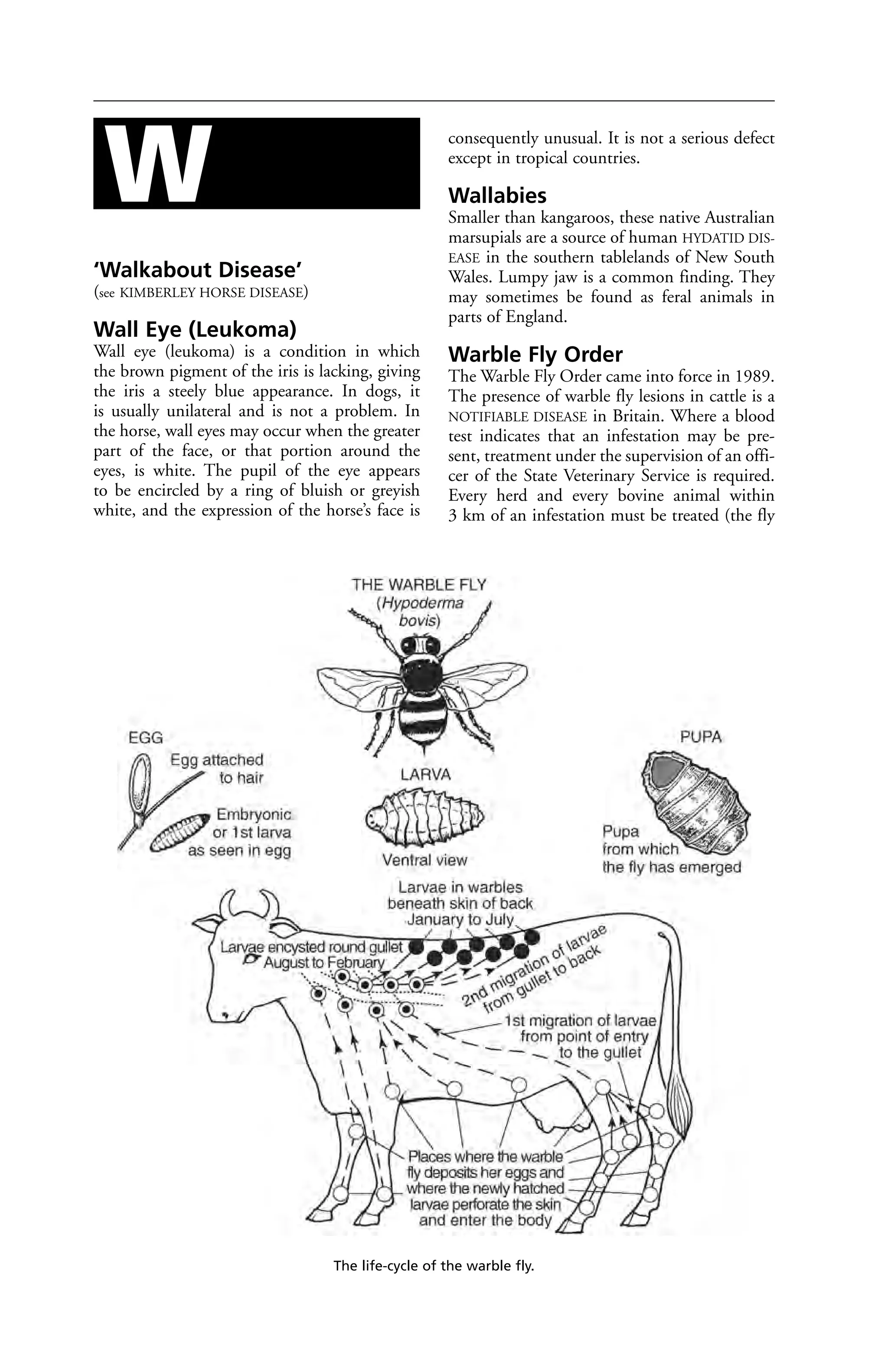 Veterinary dictionary _21st_edition