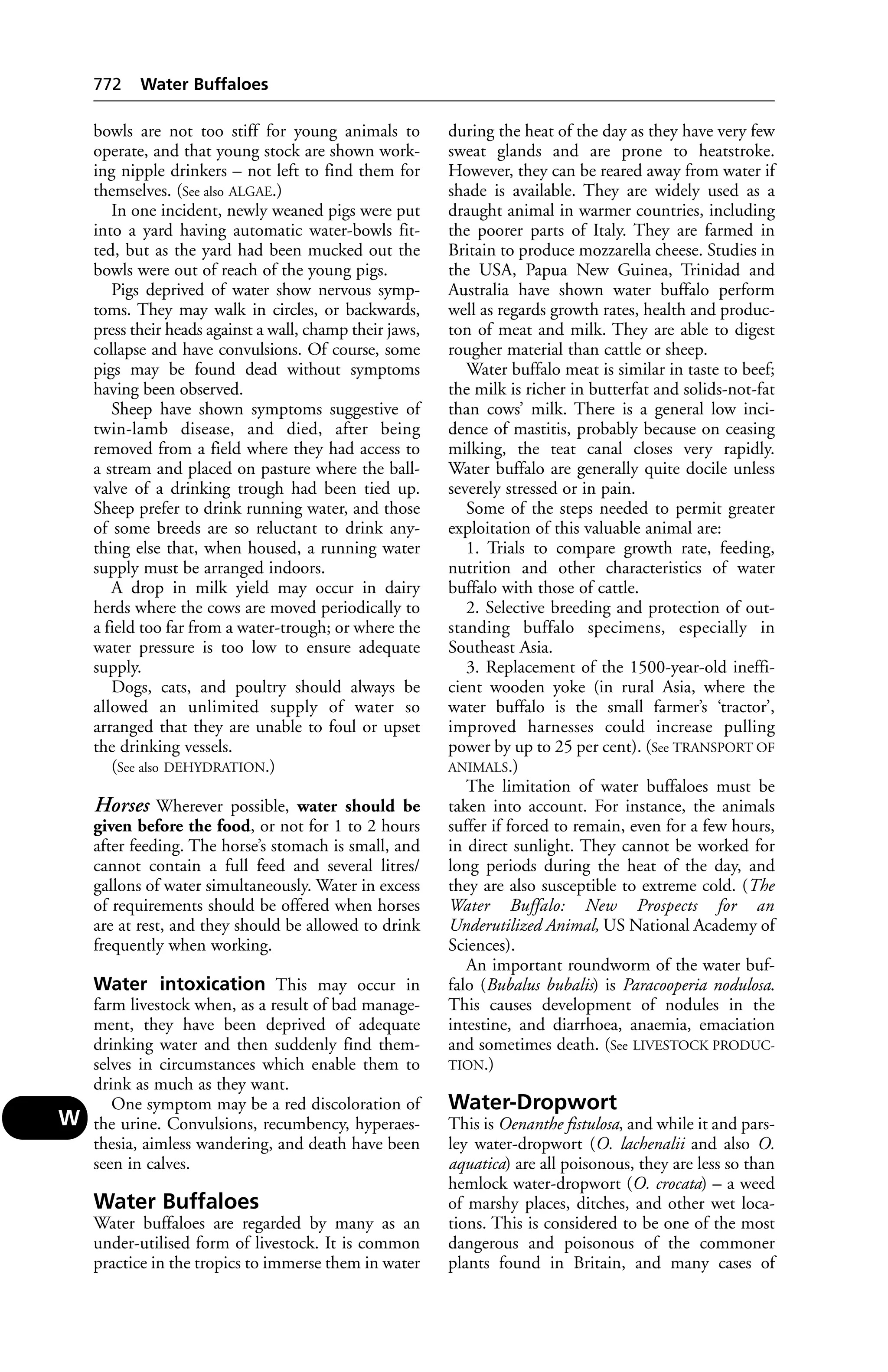 Veterinary dictionary _21st_edition