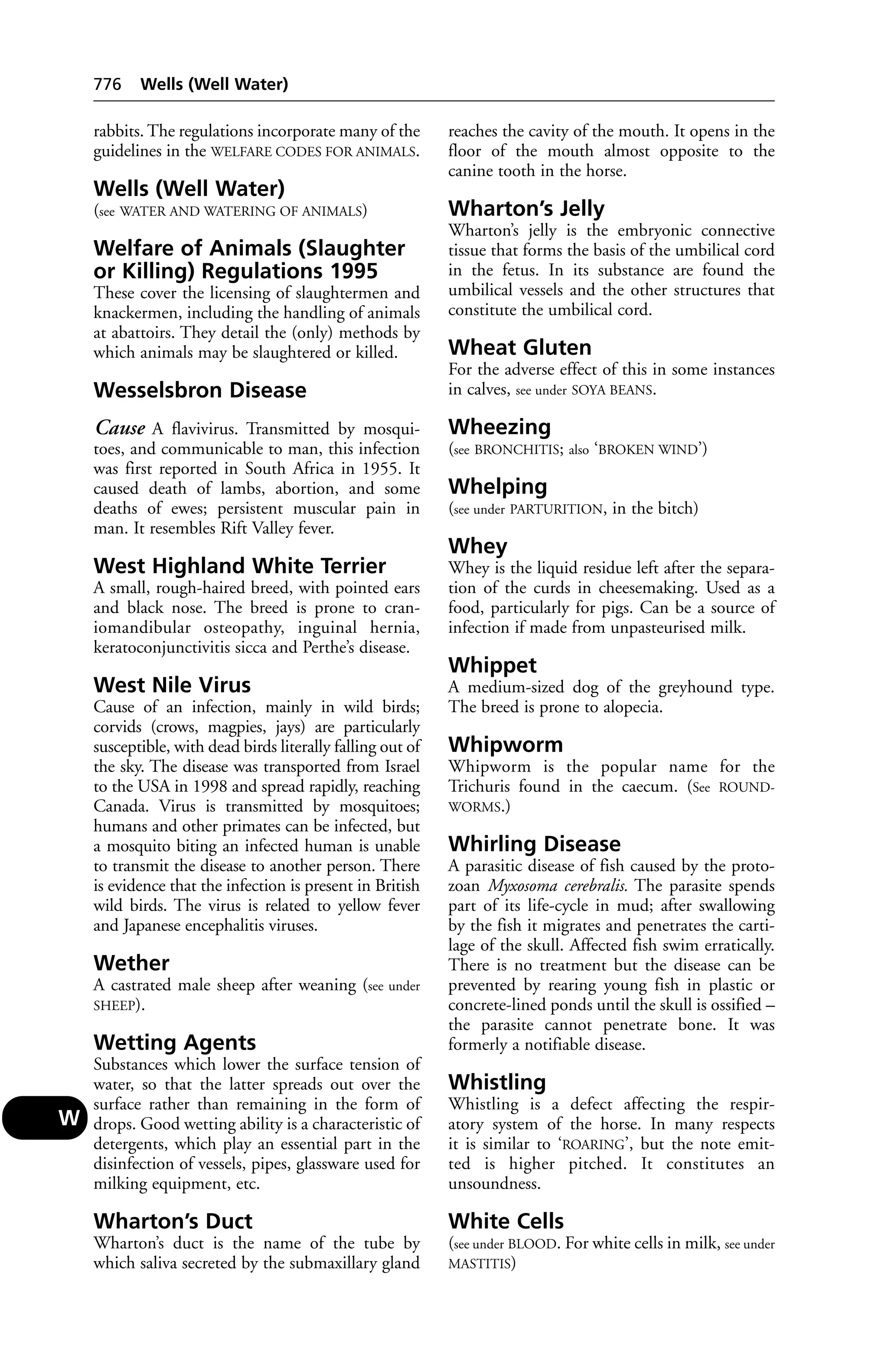 Veterinary dictionary _21st_edition